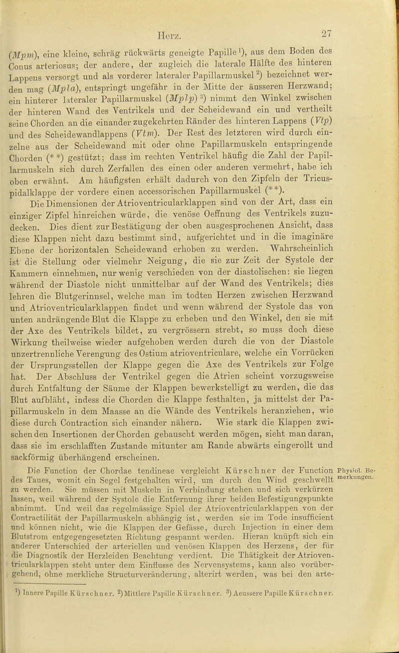 (Mpm), eine Itleine, schräg rückwärts geneigte Papille i), aus dem Boden des Conus arteriosus; der andere, der zugleich die laterale Hälfte des hinteren Lappens versorgt und als vorderer lateraler Papillarmuskel ^) bezeichnet wer- den mag (Mpla), entspringt ungefähr in der Mitte der äusseren Herzwand; ein hinterer lateraler Papillarmuskel (Mplp) nimmt den Winkel zwischen der hinteren Wand des Ventrikels und der Scheidewand ein und vertheilt seine Chorden an die einander zugekehrten Ränder des hinteren Lappens (Vtp) und des Scheidewandlappens (Vtm). Der Eest des letzteren wird durch ein- zelne aus der Scheidewand mit oder ohne Papillarmuskeln entspringende Chorden (* *) gestützt; dass im rechten Ventrikel häufig die Zahl der Papil- larmuskeln sich durch Zerfallen des einen oder anderen vermehrt, habe ich oben erwähnt. Am häiifigsten erhält dadurch von den Zipfeln der Tricus- pidalklappe der vordere einen accessorischen Papillarmuskel (* *). Die Dimensionen der Atrioventricularklappen sind von der Art, dass ein einziger Zipfel hinreichen würde, die venöse Oeffnung des Ventrikels zuzu- decken. Dies dient zur Bestätigung der oben ausgesprochenen Ansicht, dass diese Klappen nicht dazu bestimmt sind, aufgerichtet und in die imaginäre Ebene der horizontalen Scheidewand erhoben zu werden. Wahrscheinlich ist die Stellung oder vielmehr Neigung, die sie zur Zeit der Systole der Kammern einnehmen, nur wenig verschieden von der diastolischen: sie liegen während der Diastole nicht unmittelbar auf der Wand des Ventrikels; dies lehren die Blutgerinnsel, welche man im todten Herzen zwischen Herzwand und Atrioventricularklappen findet und wenn während der Systole das von unten andrängende Blut die Klappe zu erheben und den Winkel, den sie mit der Axe des Ventrikels bildet, zu vergrössern strebt, so muss doch diese Wirkung theilweise wieder aufgehoben werden durch die von der Diastole unzertrennliche Verengung des Ostium atrioventriculare, welche ein Vorrücken der Ursprungsstellen der Klappe gegen die Axe des Ventrikels zur Folge hat. Der Abschluss der Ventrikel gegen die Atrien scheint vorzugsweise durch Entfaltung der Säume der Klappen bewerkstelligt zu werden, die das Blut aufbläht, indess die Chorden die Klappe festhalten, ja mittelst der Pa- pillarmuskeln in dem Maasse an die Wände des Ventrikels heranziehen, wie diese durch Contraction sich einander nähern. Wie stark die Klappen zwi- schen den Insertionen der Chorden gebauscht werden mögen, sieht man daran, dass sie im erschlafi'ten Zustande mitunter am Rande abwärts eingerollt und sackförmig überhängend erscheinen. Die Function der Chordae tendineae vergleicht Kürschner der Function Physioi. Be- des Taues, womit ein Segel festgehalten wird, um durch den Wind geschwellt erkimgen. zu werden. Sie müssen mit Muskeln in Verlaindung stehen und sich verkürzen lassen, weil während der Systole die Entfernung ihrer beiden Befestigungspimkte abnimmt. Und weil das regelmässige Spiel der Atrioventricularklappen von der ContractiHtät der Papillai-muslceln abhängig ist, werden sie im Tode insufficient und können nicht, wie die Klappen der Gefässe, durch Injection in einer dem Blutstrom entgegengesetzten Richtung gespannt werden. Hieran knüpft sich ein anderer Unterschied der arteriellen und venösen Klappen des Herzens, der für die Diagnostik der Herzleiden Beachtung verdient. Die Thätigkeit derAtrioven- • tricularklappen steht unter dem Einflüsse des Nervensystems, kann also vorüber- gehend, ohne merkliche Structurveränderung, alterirt werden, was bei den arte- ') Innere Pa])ille Kürschner. 2)Mittlcre Papille Kürschner. ^) Acussere Papille Kürschner.