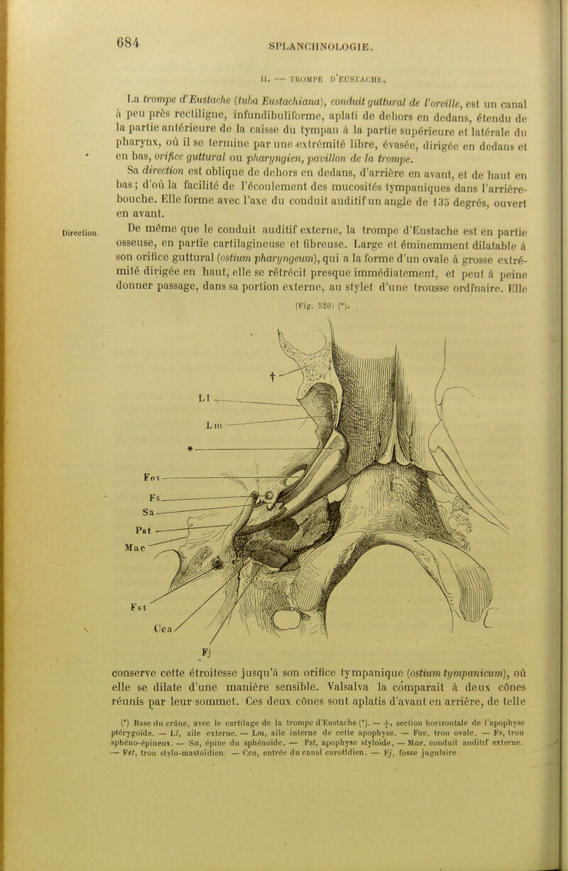 084 SPLANCHNOLOGIB. U, — TAOMPE D'EDSXACHE. La trompe d'Eustache (tuba Eustachiana), conduit guttural de l'oreille, est un canal à pou près rectiligne, inftmdibulifôrme, aplati de dehors en dedans, étendu de la partie antérieure de la caisse du tympan à la partie supérieure et latérale du pharynx, où il se termine par une extrémité libre, évasée, dirigée en dedans et en bas, orifice guttural ou pharyngien, pavillon, de la trompe. Sa direction est oblique de dehors en dedans, d'arrière en avant, et de haut en bas; d'où la facilité de l'écoulement des mucosités tympaniques dans l'arrière- bouche. Elle forme avec l'axe du conduit auditif un angle de 135 degrés, ouvert en avant. Direction. De mfimc que le conduit auditif externe, la trompe d'Eustache est en partie osseuse, en partie cartilagineuse et fibreuse. Large et éminemment dilatable à son orifice guttural (ostium pharyngeum), qui a la forme d'un ovale à grosse extré- mité dirigée en haut, elle se rétrécit presque immédiatement, et peut a peine donner passage, dans sa portion externe, au stylet d'une trousse ordinaire. Elle (Fig. 520) (*). conserve celte étroitesse jusqu'à son orifice lympanique (ostium tympanicum), où elle se dilate d'une manière sensible. Valsalva la comparait à deux cônes réunis par leur-sommet. Ces deux cônes sont aplatis d'avant en arrière, de telle (*) Base du crâne, avec le cartilage de la trompe d'Eustache ('). — f, section horizontale de l'apophyse ptérygoïde. — U, aile externe. — Lm, aile interne de cette apophyse. — Fou, trou ovale. — F.«, trou sphéno-épineux. — Sa, épine du sphénoïde. — Psi, apophyse styloïde. — Mae. conduit auditif externe. — Vit, trou stylo-mastoïdien. — C.ca, entrée du canal carotidien. — F/', fosse jugulaire