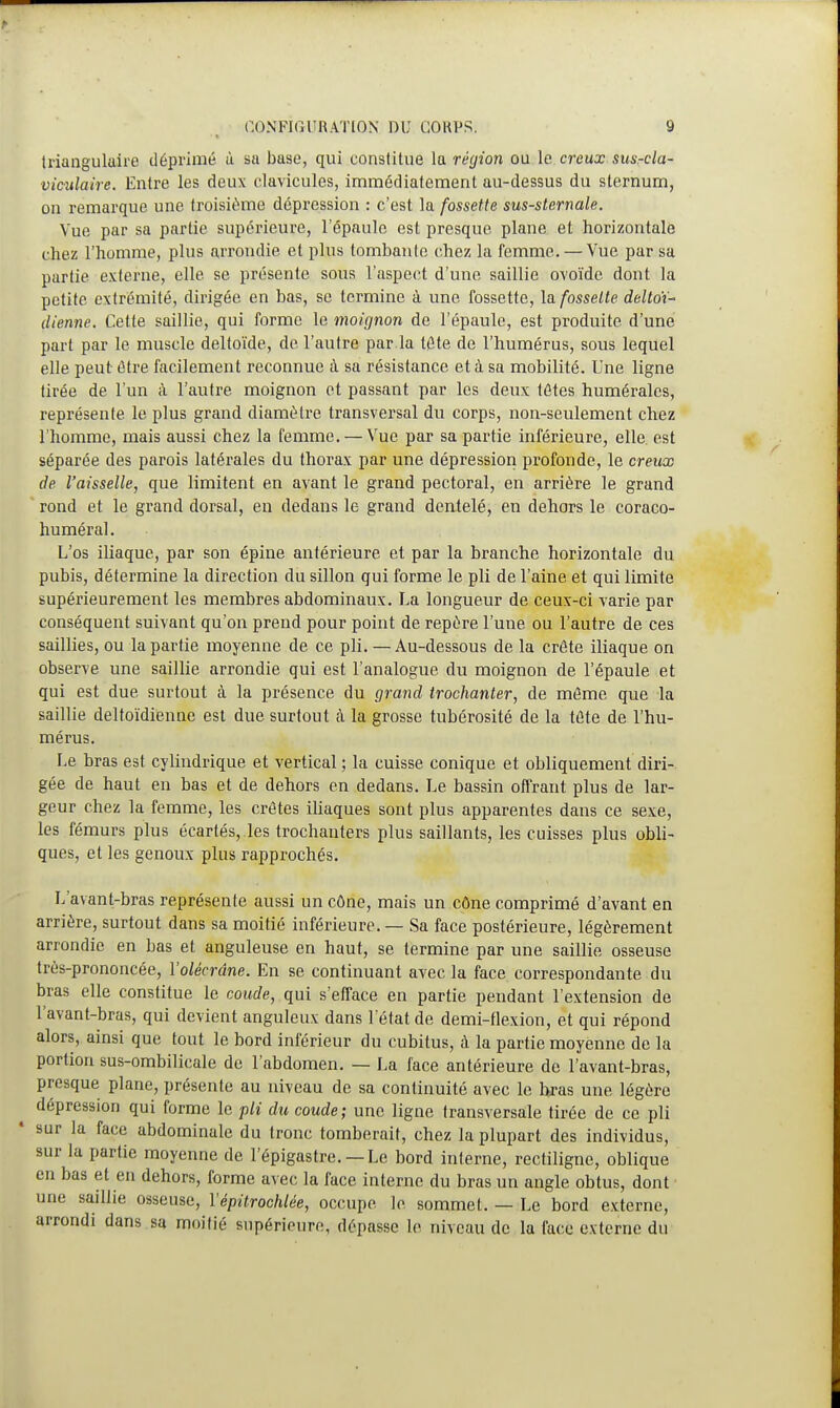 triangulaire déprimé à sa base, qui constitue la région ou le creux susrcla- viculaire. Entre les deux clavicules, immédiatement au-dessus du sternum, on remarque une troisième dépression : c'est la fossette sus-sternale. Vue par sa partie supérieure, l'épaule est presque plane et horizontale chez l'homme, plus arrondie et plus tombante chez la femme. — Vue par sa partie externe, elle se présente sous l'aspect d'une saillie ovoïde dont la petite extrémité, dirigée en bas, se termine à une fossette, la fossette deltoï- dienne. Cette saillie, qui forme le moignon de l'épaule, est produite d'une part par le muscle deltoïde, de l'autre par la tête de l'humérus, sous lequel elle peut être facilement reconnue à sa résistance et à sa mobilité. Une ligne tirée de l'un à l'autre moignon et passant par les deux têtes numérales, représente le plus grand diamètre transversal du corps, non-seulement chez l'homme, mais aussi chez la femme. — Vue par sa partie inférieure, elle est séparée des parois latérales du thorax par une dépression profonde, le creux de l'aisselle, que limitent en avant le grand pectoral, en arrière le grand rond et le grand dorsal, en dedans le grand dentelé, en dehors le coraco- huméral. L'os iliaque, par son épine antérieure et par la branche horizontale du pubis, détermine la direction du sillon qui forme le pli de l'aine et qui limite supérieurement les membres abdominaux. La longueur de ceux-ci varie par conséquent suivant qu'on prend pour point de repère l'une ou l'autre de ces saillies, ou la partie moyenne de ce pli. — Au-dessous de la crête iliaque on observe une saillie arrondie qui est l'analogue du moignon de l'épaule et qui est due surtout à la présence du grand trochanter, de même que la saillie deltoïdienne est due surtout à la grosse tubérosité de la tête de l'hu- mérus. Le bras est cylindrique et vertical ; la cuisse conique et obliquement diri- gée de haut en bas et de dehors en dedans. Le bassin offrant plus de lar- geur chez la femme, les crêtes iliaques sont plus apparentes dans ce sexe, les fémurs plus écartés, .les trochanters plus saillants, les cuisses plus obli- ques, et les genoux plus rapprochés. L'avant-bras représente aussi un cône, mais un cône comprimé d'avant en arrière, surtout dans sa moitié inférieure. — Sa face postérieure, légèrement arrondie en bas et anguleuse en haut, se termine par une saillie osseuse très-prononcée, Yolécrdne. En se continuant avec la face correspondante du bras elle constitue le coude, qui s'efface en partie pendant l'extension de l'avant-bras, qui devient anguleux dans l'état de demi-flexion, et qui répond alors, ainsi que tout le bord inférieur du cubitus, à la partie moyenne de la portion sus-ombilicale de l'abdomen. — La face antérieure de l'avant-bras, presque plane, présente au niveau de sa continuité avec le bras une légère dépression qui forme le pli du coude ; une ligne transversale tirée de ce pli sur la face abdominale du tronc tomberait, chez la plupart des individus, sur la partie moyenne de l'épigastre. — Le bord interne, rectiligne, oblique en bas et en dehors, forme avec la face interne du bras un angle obtus, dont une saillie osseuse, l'épitrochlée, occupe le sommet. — Le bord externe, arrondi dans sa moitié supérieure, dépasse le niveau de la face externe du