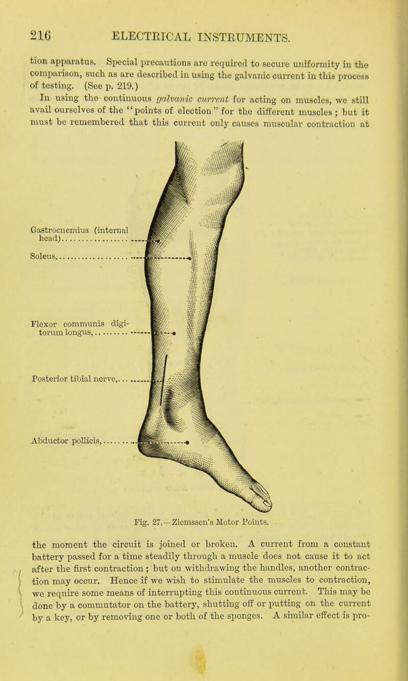 tion apparatus. Special precautions are required to secure uniformity in the comparison, such as are described in using the galvanic current in this process of testing. (Seep. 219.) In using the continuous f/alvanic current for acting on muscles, we still avail ourselves of the points of election for the different muscles ; but it must be remembered that this current only causes muscular contraction at Gastrocnemius (internal head) Soleus, Flexor communis digi- torum longus, Posterior tibial nerve,... Abductor pollicis. Fig. 27.—Ziemssen's Motor Points. the moment the circuit is joined or broken. A current from a constant battery jiassed for a time steadily through a muscle does not cause it to act after the fii'st contraction ; but on withdrawing the handles, another contrac- tion may occur. Hence if we wish to stimulate the muscles to contraction, we require some means of interrupting this continuous cuiTent. This may be done by a commutator on the battery, shutting off or putting on the current by a key, or by removing one or both of the sponges. A similar effect is pro-