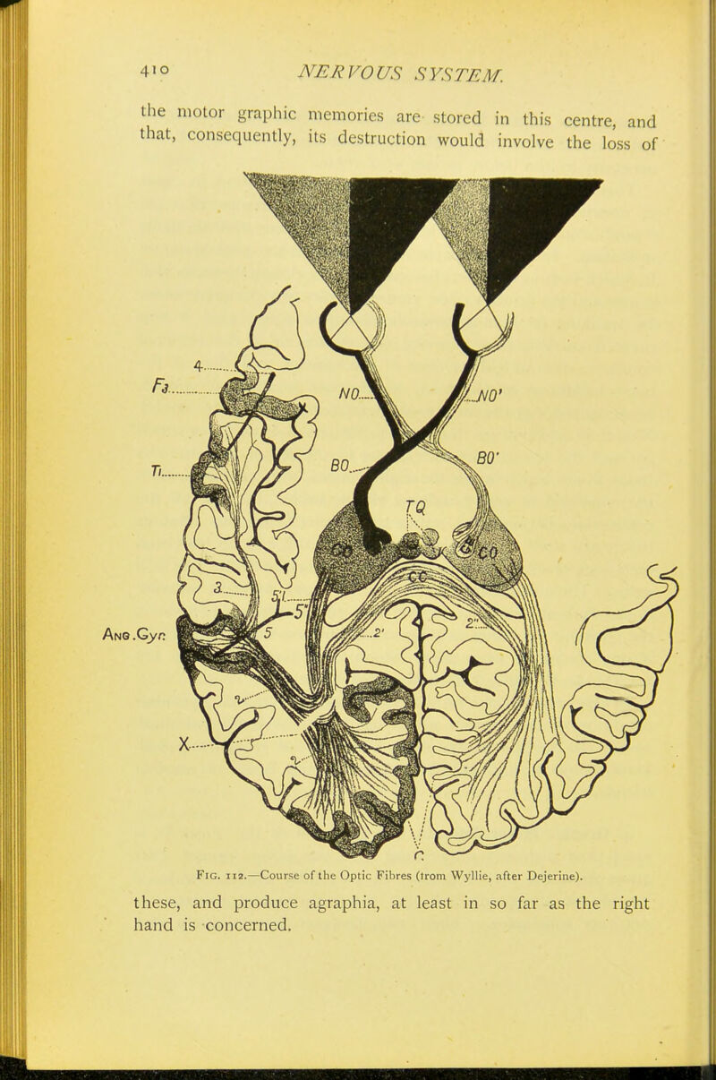 the motor graphic memories are stored in this centre, and that, consequently, its destruction would involve the loss of Fig. ii2.—Course of the Optic Fibres (Irom Wyllie, after Dejerine). these, and produce agraphia, at least in so far as the right hand is concerned.