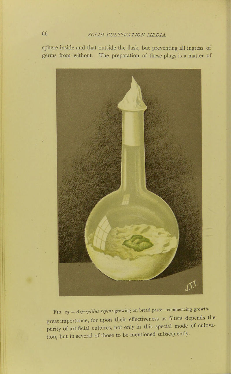 sphere inside and that outside the flask, but preventing all ingress of germs from without. The preparation of these plugs is a matter of Fig. Aspergillus rcpens growing on bread paste-commencing growth, great importance, for upon their effectiveness as filters depends the purity of artificial cultures, not only in this special mode of cultiva- tion, but in several of those to be mentioned subsequently.