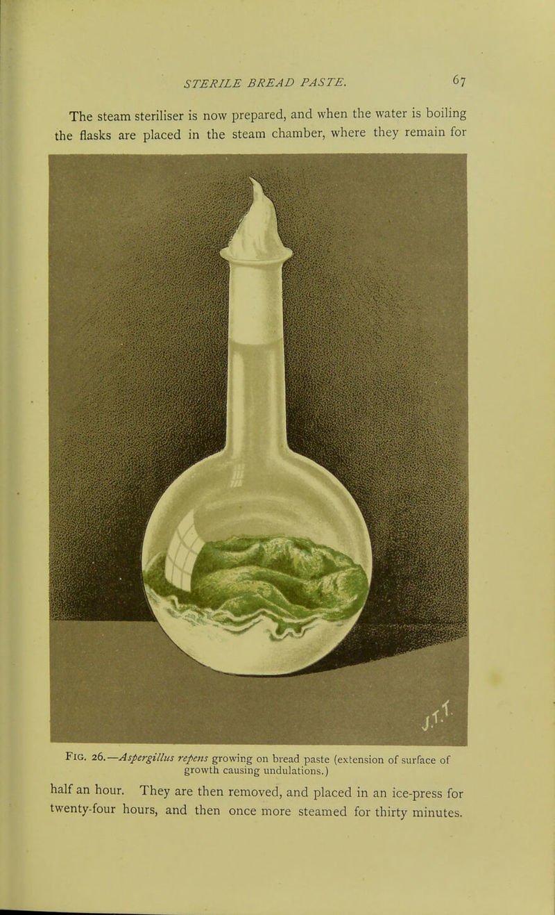 The Steam steriliser is now prepared, and when the water is boiling the flasks are placed in the steam chamber, where they remain for Fig. 26.—Aspergillus repens growing on bread paste (extension of surface of growth causing undulations.) half an hour. They are then removed, and placed in an ice-press for twenty-four hours, and then once more steamed for thirty minutes.