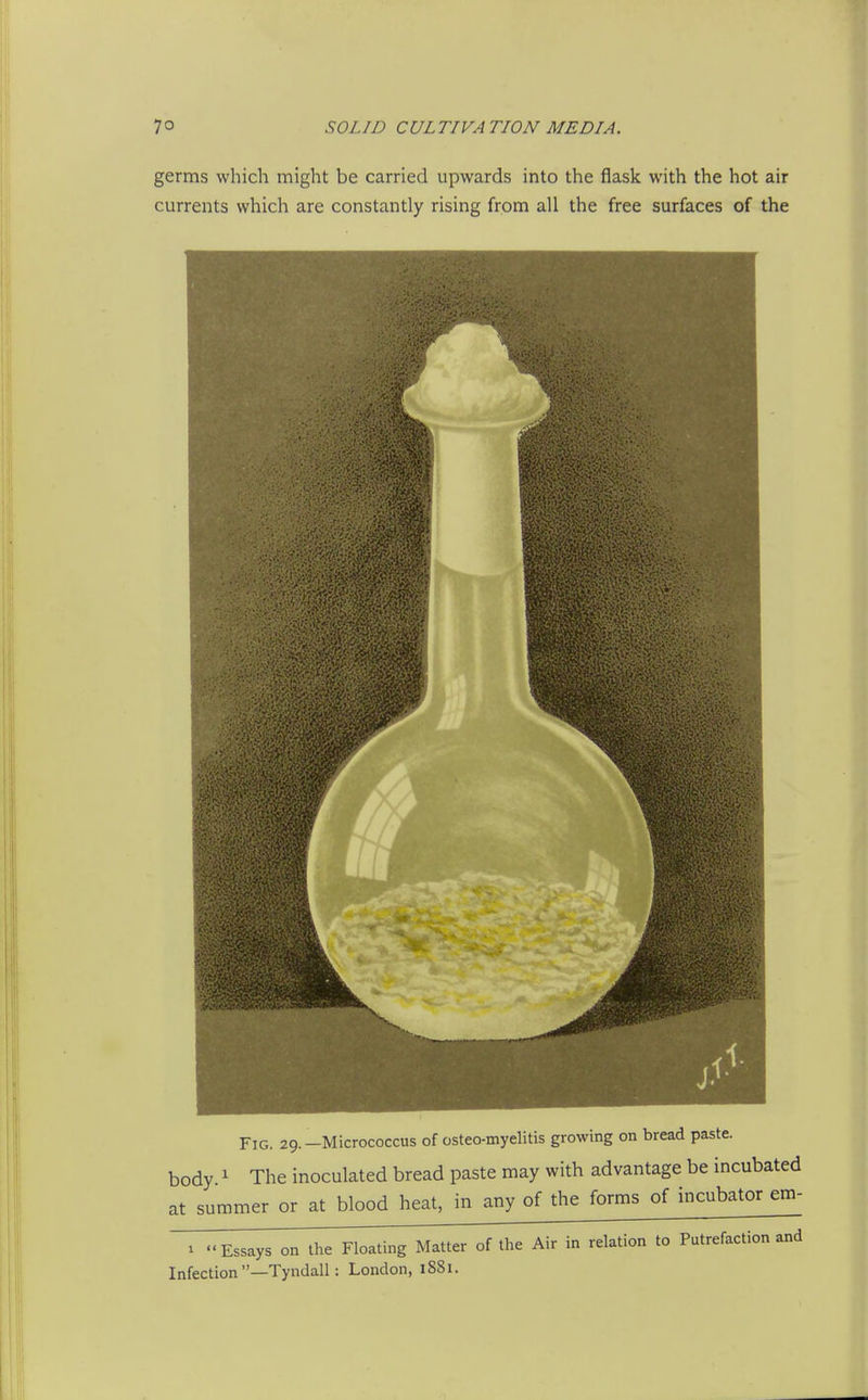 germs which might be carried upwards into the flask with the hot air currents which are constantly rising from all the free surfaces of the Fig. 29.—Micrococcus of osteo-myelitis growing on bread paste, body ^ The inoculated bread paste may with advantage be incubated at summer or at blood heat, in any of the forms of incubator em- 1 Essays on the Floating Matter of the Air in relation to Putrefaction and Infection —Tyndall: London, 1881.