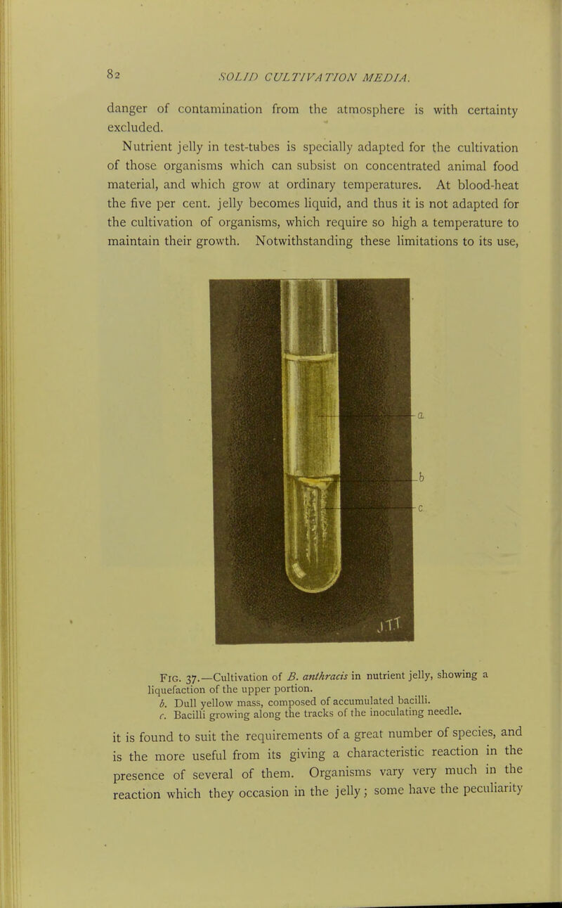 danger of contamination from the atmosphere is with certainty excluded. Nutrient jelly in test-tubes is specially adapted for the cultivation of those organisms which can subsist on concentrated animal food material, and which grow at ordinary temperatures. At blood-heat the five per cent, jelly becomes liquid, and thus it is not adapted for the cultivation of organisms, which require so high a temperature to maintain their growth. Notwithstanding these limitations to its use, % 1 \ J ■ J J-f t Fig. 37.—Cultivation of B. anthracis in nutrient jelly, showing a liquefaction of the upper portion. b. Dull yellow mass, composed of accumulated bacilli. c. Bacilli growing along the tracks of the inoculating needle. it is found to suit the requirements of a great number of species, and is the more useful from its giving a characteristic reaction in the presence of several of them. Organisms vary very much in the reaction which they occasion in the jelly; some have the peculiarity