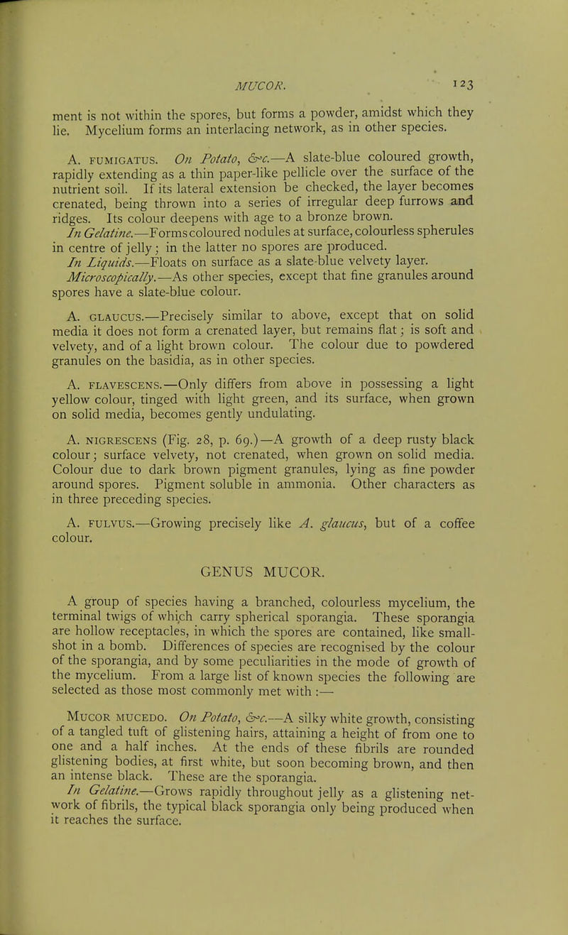 ment is not within the spores, but forms a powder, amidst which they He. Mycelium forms an interlacing network, as in other species. A. FUMIGATUS. 0)1 Potato, &'c.—h slate-blue coloured growth, rapidly extending as a thin paper-like pellicle over the surface of the nutrient soil. If its lateral extension be checked, the layer becomes crenated, being thrown into a series of irregular deep furrows and ridges. Its colour deepens with age to a bronze brown. In Gelatine.—Forms coloured nodules at surface, colourless spherules in centre of jelly; in the latter no spores are produced. /// Liquids.—Floats on surface as a slate-blue velvety layer. Microscopically.—As other species, except that fine granules around spores have a slate-blue colour. A. GLAUCUS.—Precisely similar to above, except that on solid media it does not form a crenated layer, but remains flat; is soft and velvety, and of a light brown colour. The colour due to powdered granules on the basidia, as in other species. A. FLAVESCENS.—Only differs from above in possessing a light yellow colour, tinged with light green, and its surface, when grown on solid media, becomes gently undulating. A. NiGRESCENS (Fig. 28, p. 69.)—A growth of a deep rusty black colour ] surface velvety, not crenated, when grown on sohd media. Colour due to dark brown pigment granules, lying as fine powder around spores. Pigment soluble in ammonia. Other characters as in three preceding species. A. FULVUS.—Growing precisely like A. glaiicus, but of a coffee colour, GENUS MUCOR. A group of species having a branched, colourless mycelium, the terminal twigs of which carry spherical sporangia. These sporangia are hollow receptacles, in which the spores are contained, like small- shot in a bomb. Differences of species are recognised by the colour of the sporangia, and by some peculiarities in the mode of growth of the mycelium. From a large list of known species the following are selected as those most commonly met with :— MucOR MUCEDO. On Potato, &'c.—A silky white growth, consisting of a tangled tuft of gUstening hairs, attaining a height of from one to one and a half inches. At the ends of these fibrils are rounded glistening bodies, at first white, but soon becoming brown, and then an intense black. These are the sporangia. In Gelatine.—Grows rapidly throughout jelly as a ghstening net- work of fibrils, the typical black sporangia only being produced when it reaches the surface.