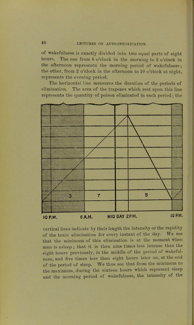 of wakefulness is exactly divided into two equal parts of eight hours. The one from 6 o'clock in the morning to 2 o'clock in the afternoon represents the morning period of wakefulness ; the other, from 2 o'clock in the afternoon to 10 o'clock at night, represents the evening period. The horizontal line measures the duration of the periods of elimination. The area of the trapezes which rest upon this line represents the quantity of poison eliminated in each period ; the 10 P.M. 6 A.M. MID DAY 2BM. vertical lines indicate by their length the intensity or the rapidity of the toxic elimination for every instant of the day. We see that the minimum of this elimination is at the moment when man is asleep ; that it is then nine times less intense than the eight hours previously, in the middle of the period of wakeful- ness, and five times less than eight hours later on, at the end of the period of sleep. We thus see that from the minimum to the maximum, during the sixteen hours which represent sleep and the morning period of wakefulness, the intensity of the