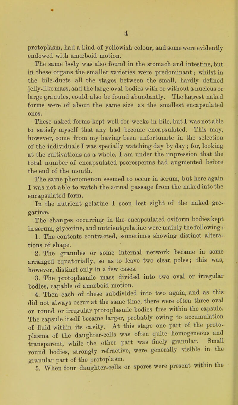 protoplasm, had a kind of yellowish colour, and some were evidently- endowed with amoeboid motion. The same body was also found in the stomach and intestine, but in these organs the smaller varieties were predominant; whilst in the bile-ducts all the stages between the small, hardly defined jelly-Kkemass, and the large oval bodies with or without a nucleus or large granules, could also be found abundantly. The largest naked forms were of about the same size as the smallest encapsulated ones. These naked forms kept well for weeks in bile, but I was not able to satisfy myself that any had become encapsulated. This may, however, come from my having been unfortunate in the selection of the individuals I was specially watching day by day ; for, looking at the cultivations as a whole, I am under the impression that the total number of encapsulated psorosperms had augmented before the end of the month. The same phenomenon seemed to occur in serum, but here again I was not able to watch the actual passage from the naked into the encapsulated form. In the nutrient gelatine I soon lost sight of the naked gre- garinse. The changes occurring in the encapsulated oviform bodies kept in serum, glycerine, and nutrient gelatine were mainly the following: 1. The contents contracted, sometimes showing distinct altera- tions of shape. 2. The granules or some internal network became in some arranged equatorially, so as to leave two clear poles; this was, however, distinct only in a few cases. 3. The protoplasmic mass divided into two oval or irregular bodies, capable of amoeboid motion. 4. Then each of these subdivided into two again, and as this did not always occur at the same time, there were often three oval or round or irregular protoplasmic bodies free within the capsule. The capsule itself became larger, probably owing to accumulation of fluid within its cavity. At this stage one part of the proto- plasma of the daughter-cells was often quite homogeneous and transparent, while the other part was finely granular. Small round bodies, strongly refractive, were generally visible in the granular part of the protoplasm. 6. When four daughter-cells or spores were present withm the