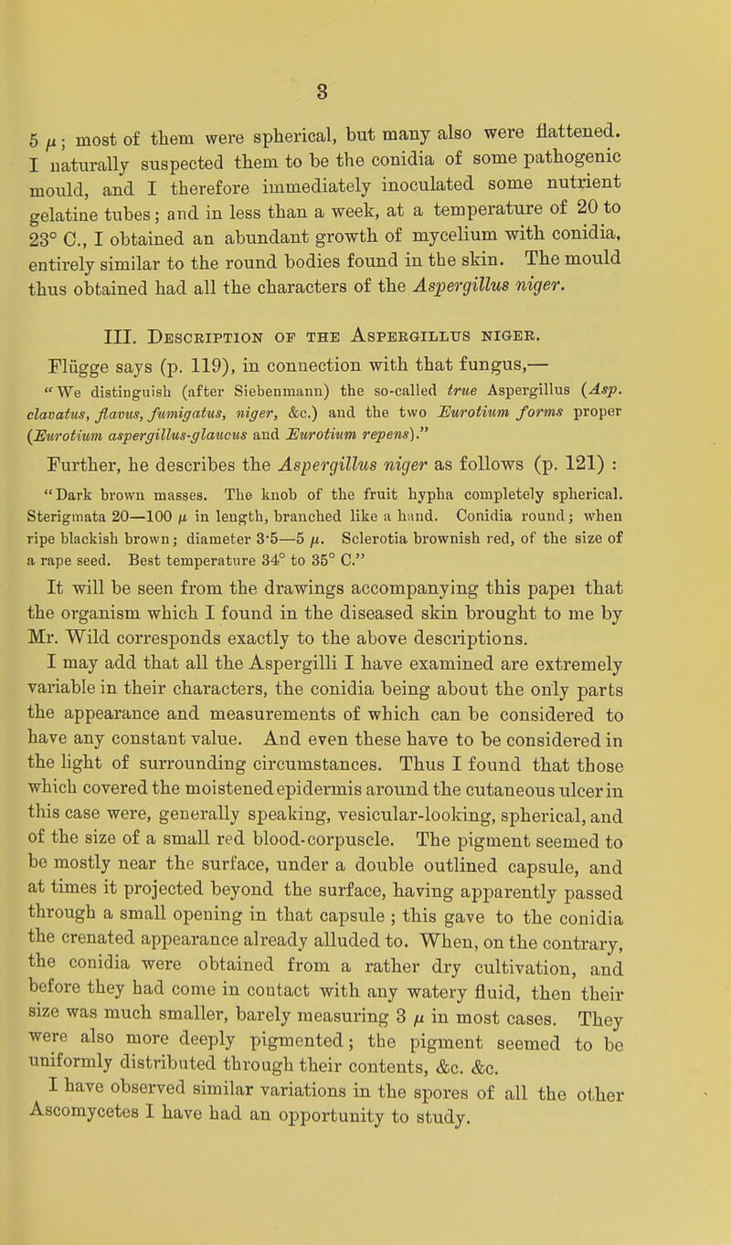 5 fx; most of them were spherical, but many also were flattened. I naturally suspected them to be the conidia of some pathogenic mould, and I therefore immediately inoculated some nutrient gelatine tubes; and in less than a week, at a temperature of 20 to 23° C, I obtained an abundant growth of mycelium with conidia, entirely similar to the round bodies found in the skin. The mould thus obtained had all the characters of the Aspergillus niger. III. Description of the Aspergillus niger. Fhigge says (p. 119), in connection with that fungus,— We distinguish (after Siebeninann) the so-called true Aspergillus (Asp. clavatus, flavus, fumigatus, niger, &c.) and the two Eurotium forms proper (Eurotium aspergillus-glaucus and 'Eurotium repens). Further, he describes the Aspergillus niger as follows (p. 121) : Dark brown masses. The knob of the fruit hypha completely spherical. Sterigmata 20—100 fi in length, branched like a hand. Conidia round; when ripe blackish brown; diameter 35—5 /x. Sclerotia brownish red, of the size of a rape seed. Best temperature 34° to 35° C. It will be seen from the drawings accompanying this papei that the organism which I found in the diseased skin brought to me by Mr. Wild corresponds exactly to the above descriptions. I may add that all the Aspergilli I have examined are extremely variable in their characters, the conidia being about the only parts the appearance and measurements of which can be considered to have any constant value. And even these have to be considered in the light of surrounding circumstances. Thus I found that those which covered the moistened epidermis around the cutaneous ulcer in this case were, generally speaking, vesicular-looking, spherical, and of the size of a small red blood-corpuscle. The pigment seemed to be mostly near the surface, under a double outlined capsule, and at times it projected beyond the surface, having apparently passed through a small opening in that capsule ; this gave to the conidia the crenated appearance already alluded to. When, on the contrary, the conidia were obtained from a rather dry cultivation, and before they had come in contact with any watery fluid, then their size was much smaller, barely measuring 3 n in most cases. They were also more deeply pigmented; the pigment seemed to be uniformly distributed through their contents, &c. &c. I have observed similar variations in the spores of all the other Ascomycetes I have had an opportunity to study.