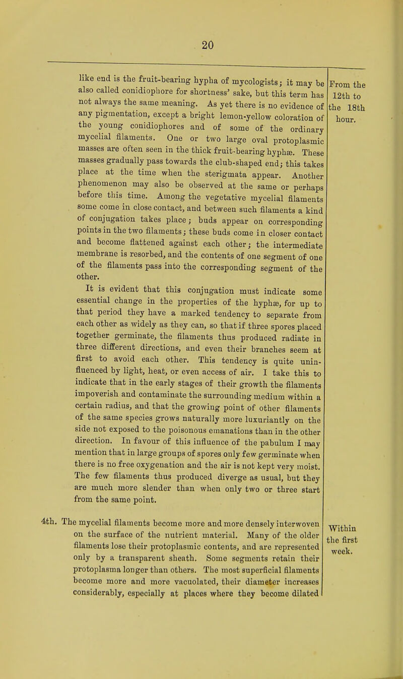 like end is the fruit-bearing hypha of mycologists; it may be also called conidiophore for shortness' sake, but this term has not always the same meaning. As yet there is no evidence of any pigmentation, except a bright lemon-yellow coloration of the young conidiophores and of some of the ordinary mycelial filaments. One or two large oval protoplasmic masses are often seen in the thick fruit-bearing hyphaj. These masses gradually pass towards the club-shaped end; this takes place at the time when the sterigmata appear. Another phenomenon may also be observed at the same or perhaps before this time. Among the vegetative mycelial filaments some come in close contact, and between such filaments a kind of conjugation takes place; buds appear on corresponding points in the two filaments; these buds come in closer contact and become flattened against each other; the intermediate membrane is resorbed, and the contents of one segment of one of the filaments pass into the corresponding segment of the other. It is evident that this conjugation must indicate some essential change in the properties of the hypha?, for up to that period they have a marked tendency to separate from each other as widely as they can, so that if three spores placed together germinate, the filaments thus produced radiate in three different directions, and even their branches seem at first to avoid each other. This tendency is quite unin- fluenced by light, heat, or even access of air. I take this to indicate that in the early stages of their growth the filaments impoverish and contaminate the surrounding medium within a certain radius, and that the growing point of other filaments of the same species grows naturally more luxuriantly on the side not exposed to the poisonous emanations than in the other direction. In favour of this influence of the pabulum I may mention that in large groups of spores only few germinate when there is no free oxygenation and the air is not kept very moist. The few filaments thus produced diverge as usual, but they are much more slender than when only two or three start from the same point. 4th. The mycelial filaments become more and more densely interwoven on the surface of the nutrient material. Many of the older filaments lose their protoplasmic contents, and are represented only by a transparent sheath. Some segments retain their protoplasma longer than others. The most superficial filaments become more and more vacuolated, their diameter increases considerably, especially at places where they become dilated Within the first week.
