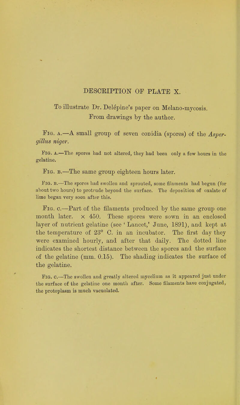 DESCRIPTION OP PLATE X. To illustrate Dr. Delepine's paper on Melano-mycosis. Prom drawings by the author. Pig. a.—A small group of seven comdia (spores) of the Asper- gillus niger. Fi&. a.—The spores had not altered, they had been only a few hours in the gelatine. Pig. b.—The same group eighteen hours later. Fig. b.—The spores had swollen and sprouted, some filaments had begun (for about two hours) to protrude beyond the surface. The deposition of oxalate of lime began very soon after this. Fig. c.—Part of the filaments produced by the same group one month later, x 450. These spores were sown in an enclosed layer of nutrient gelatine (see ' Lancet,' June, 1891), and kept at the temperature of 23° C. in an incubator. The first day they were examined hourly, and after that daily. The dotted line indicates the shortest distance between the spores and the surface of the gelatine (mm. 0.15). The shading indicates the surface of the gelatine. Fig. C.—The swollen and greatly altered mycelium as it appeared just under the surface of the gelatine one month after. Some filaments have conjugated, the protoplasm is much vacuolated.