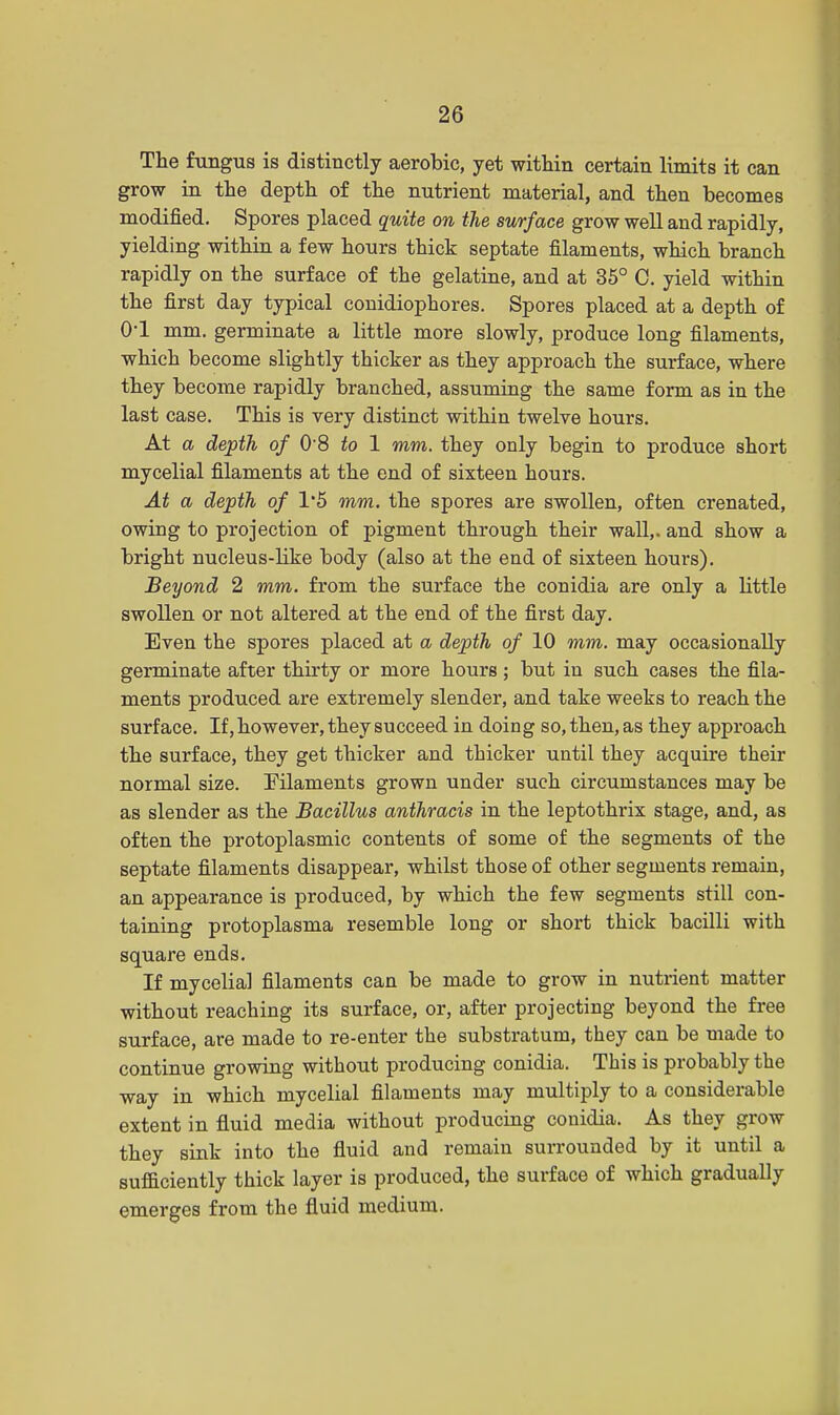 The fungus is distinctly aerobic, yet within certain limits it can grow in the depth of the nutrient material, and then becomes modified. Spores placed quite on the surface grow well and rapidly, yielding within a few hours thick septate filaments, which branch rapidly on the surface of the gelatine, and at 35° C. yield within the first day typical conidiophores. Spores placed at a depth of O'l mm. germinate a little more slowly, produce long filaments, which become slightly thicker as they approach the surface, where they become rapidly branched, assuming the same form as in the last case. This is very distinct within twelve hours. At a depth of 08 to 1 mm. they only begin to produce short mycelial filaments at the end of sixteen hours. At a depth of 1*5 mm. the spores are swollen, often crenated, owing to projection of pigment through their wall,, and show a bright nucleus-like body (also at the end of sixteen hours). Beyond 2 mm. from the surface the conidia are only a little swollen or not altered at the end of the first day. Even the spores placed at a depth of 10 mm. may occasionally germinate after thirty or more hours ; but in such cases the fila- ments produced are extremely slender, and take weeks to reach the surface. If, however, they succeed in doing so, then, as they approach the surface, they get thicker and thicker until they acquire their normal size. Filaments grown under such circumstances may be as slender as the Bacillus anthracis in the leptothrix stage, and, as often the protoplasmic contents of some of the segments of the septate filaments disappear, whilst those of other segments remain, an appearance is produced, by which the few segments still con- taining protoplasma resemble long or short thick bacilli with square ends. If mycelial filaments can be made to grow in nutrient matter without reaching its surface, or, after projecting beyond the free surface, are made to re-enter the substratum, they can be made to continue growing without producing conidia. This is probably the way in which mycelial filaments may multiply to a considerable extent in fluid media without producing conidia. As they grow they sink into the fluid and remain surrounded by it until a sufficiently thick layer is produced, the surface of which gradually emerges from the fluid medium.