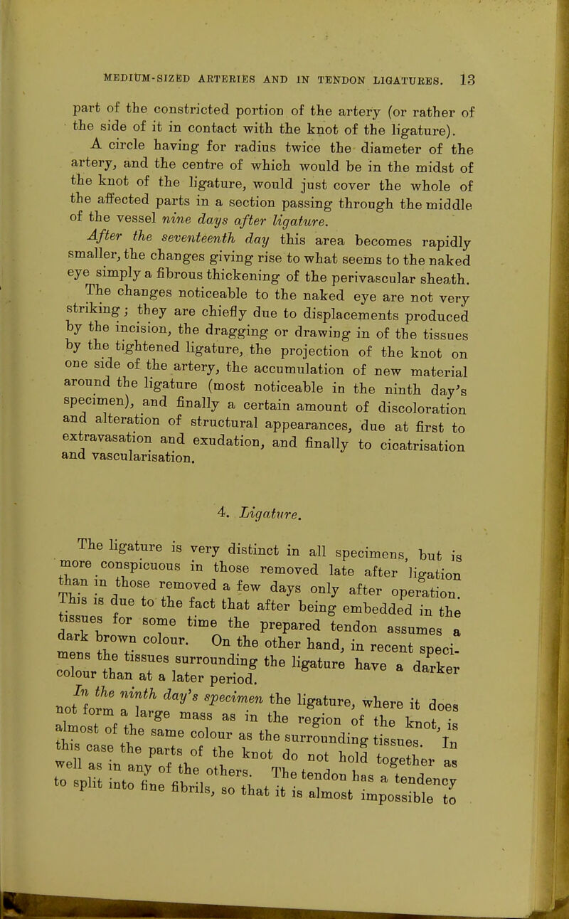 part of the constricted portion of the artery (or rather of the side of it in contact with the knot of the ligature). A circle having for radius twice the diameter of the artery, and the centre of which would be in the midst of the knot of the ligature, would just cover the whole of the affected parts in a section passing through the middle of the vessel nine days after ligature. After the seventeenth day this area becomes rapidly smaller, the changes giving rise to what seems to the naked eye simply a fibrous thickening of the perivascular sheath. The changes noticeable to the naked eye are not very striking; they are chiefly due to displacements produced by the incision, the dragging or drawing in of the tissues by the tightened ligature, the projection of the knot on one side of the artery, the accumulation of new material around the ligature (most noticeable in the ninth day's specimen), and finally a certain amount of discoloration and alteration of structural appearances, due at first to extravasation and exudation, and finally to cicatrisation and vascularisation. 4. Ligature. The ligature is very distinct in all specimens but is more conspicuous in those removed late after 'ligation TlTi!. ? TTd \ f6W dayS ml* after Potion. Tins 18 due to the fact that after being embedded in the tissues for some time the prepared tendon assumes I dark brown colour. On the other hand, in recent speci! mens the tissues surrounding the ligature have a darker colour than at a later period. nofl™ Tt% ^ SpeCimm *ie 1«atMe> ^ f does not torn a large mass as in the region of the ataost of the same colour as the surroundi g is ues h - 8Plit ,nto l