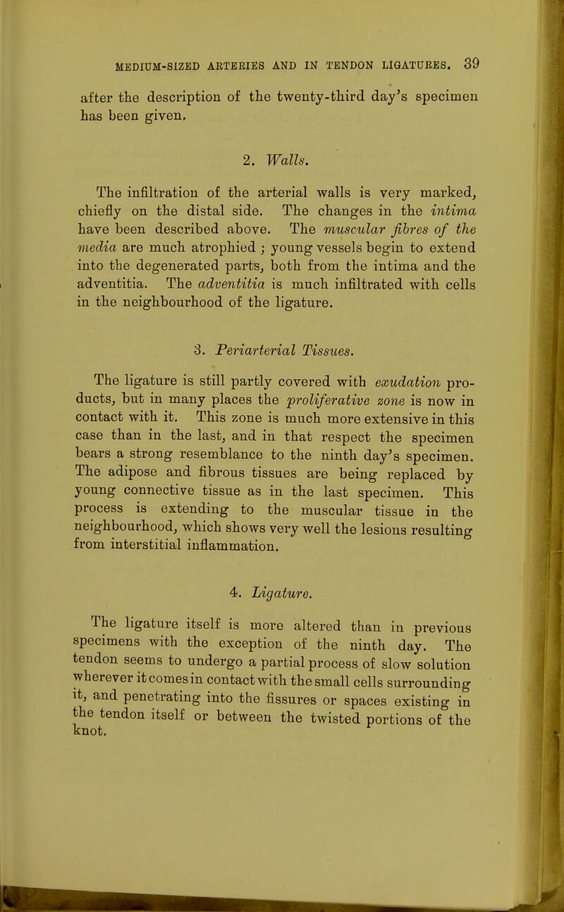 after the description of the twenty-third day's specimen has been given. 2. Walls. The infiltration of the arterial walls is very marked, chiefly on the distal side. The changes in the intima have been described above. The muscular fibres of the media are much atrophied ; young vessels begin to extend into the degenerated parts, both from the intima and the adventitia. The adventitia is much infiltrated with cells in the neighbourhood of the ligature. 3. Periarterial Tissues. The ligature is still partly covered with exudation pro- ducts, but in many places the proliferative zone is now in contact with it. This zone is much more extensive in this case than in the last, and in that respect the specimen bears a strong resemblance to the ninth day's specimen. The adipose and fibrous tissues are being replaced by young connective tissue as in the last specimen. This process is extending to the muscular tissue in the neighbourhood, which shows very well the lesions resulting from interstitial inflammation. 4. Ligature. The ligature itself is more altered than in previous specimens with the exception of the ninth day. The tendon seems to undergo a partial process of slow solution wherever itcomesin contact with the small cells surrounding it, and penetrating into the fissures or spaces existing in the tendon itself or between the twisted portions of the knot.