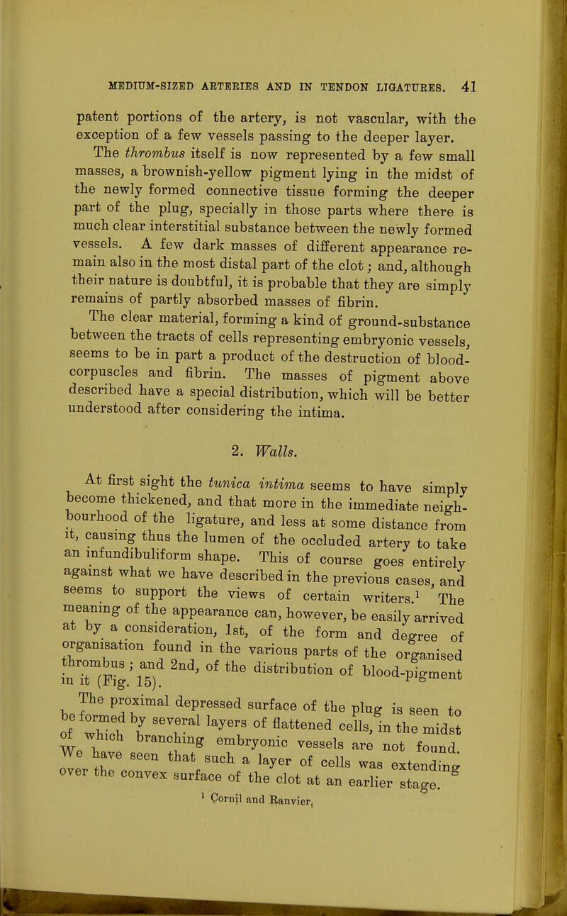 patent portions of the artery, is not vascular, with the exception of a few vessels passing to the deeper layer. The thrombus itself is now represented by a few small masses, a brownish-yellow pigment lying in the midst of the newly formed connective tissue forming the deeper part of the plug, specially in those parts where there is much clear interstitial substance between the newly formed vessels. A few dark masses of different appearance re- main also in the most distal part of the clot; and, although their nature is doubtful, it is probable that they are simply remains of partly absorbed masses of fibrin. The clear material, forming a kind of ground-substance between the tracts of cells representing embryonic vessels, seems to be in part a product of the destruction of blood- corpuscles and fibrin. The masses of pigment above described have a special distribution, which will be better understood after considering the intima. 2. Walls. At first sight the tunica intima seems to have simply become thickened, and that more in the immediate neigh- bourhood of the ligature, and less at some distance from it, causing thus the lumen of the occluded artery to take an mfundibuliform shape. This of course goes entirely against what we have described in the previous cases, and seems to support the views of certain writers1 The meaning of the appearance can, however, be easily arrived at by a consideration, 1st, of the form and decree of organisation found in the various parts of the organised L it^g/lT) ^ °f ^ diStribUti°n °f bl-4rment The proximal depressed surface of the pW is seen in be Wed by several layers of flattened eL^lCZ^t of which branching embryonic vessels are not found We have seen that such a layer of cells was extendi™ over the convex surface of the clot at an earlier stage. g 1 Qornil and Ranvier,