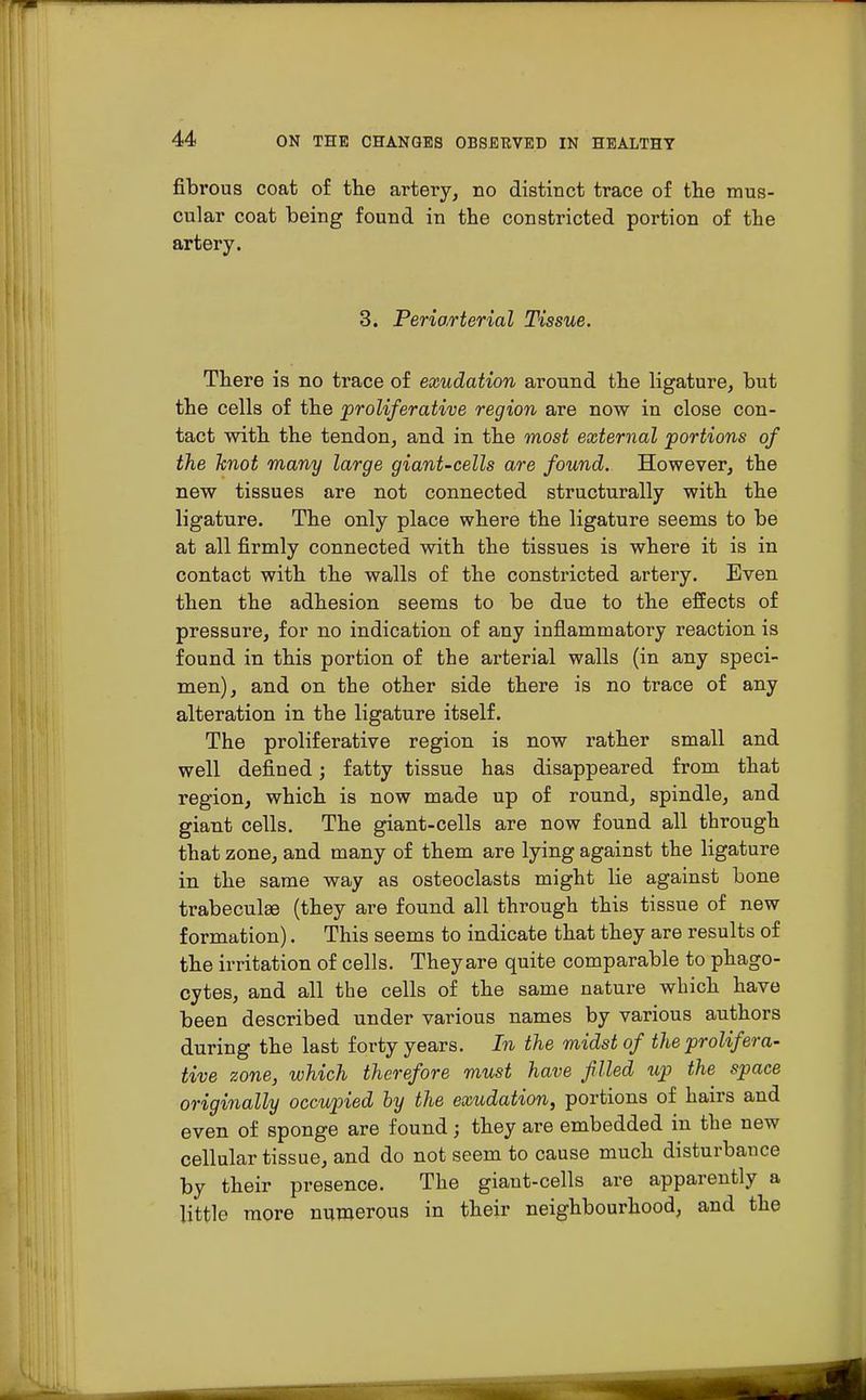fibrous coat of the artery, no distinct trace of the mus- cular coat being found in the constricted portion of the artery. 3. Periarterial Tissue. There is no trace of exudation around the ligature, but the cells of the proliferative region are now in close con- tact with the tendon, and in the most external portions of the knot many large giant-cells are found. However, the new tissues are not connected structurally with the ligature. The only place where the ligature seems to be at all firmly connected with the tissues is where it is in contact with the walls of the constricted artery. Even then the adhesion seems to be due to the effects of pressure, for no indication of any inflammatory reaction is found in this portion of the arterial walls (in any speci- men), and on the other side there is no trace of any alteration in the ligature itself. The proliferative region is now rather small and well defined; fatty tissue has disappeared from that region, which is now made up of round, spindle, and giant cells. The giant-cells are now found all through that zone, and many of them are lying against the ligature in the same way as osteoclasts might lie against bone trabeculse (they are found all through this tissue of new formation). This seems to indicate that they are results of the irritation of cells. Theyare quite comparable to phago- cytes, and all the cells of the same nature which have been described under various names by various authors during the last forty years. In the midst of the prolifera- tive zone, which therefore must have filed up the space originally occupied by the exudation, portions of hairs and even of sponge are found; they are embedded in the new cellular tissue, and do not seem to cause much disturbance by their presence. The giant-cells are apparently a little more numerous in their neighbourhood, and the