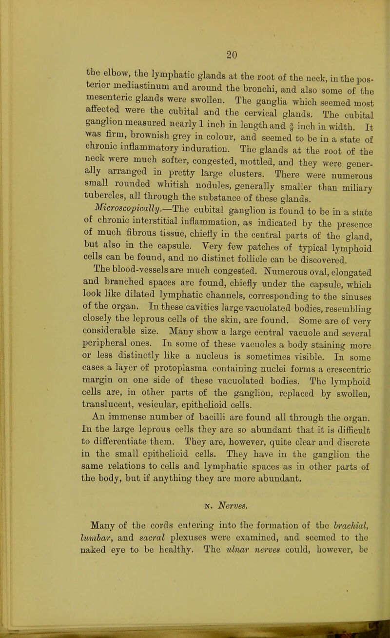 the elbow, the lymphatic glands at the root of the neck, in the pos- terior mediastinum and around the bronchi, and also some of the mesenteric glands were swollen. The ganglia which seemed most affected were the cubital and the cervical glands. The cubital ganglion measured nearly 1 inch in length and f inch in width. It was firm, brownish grey in colour, and seemed to be in a state of chronic inflammatory induration. The glands at the root of the neck were much softer, congested, mottled, and they were gener- ally arranged in pretty large clusters. There were numerous small rounded whitish nodules, generally smaller than miliary tubercles, all through the substance of these glands. Microscopically.—The cubital ganglion is found to be in a state of chronic interstitial inflammation, as indicated by the presence of much fibrous tissue, chiefly in the central parts of the gland, but also in the capsule. Very few patches of typical lymphoid cells can be found, and no distinct follicle can be discovered. The blood-vessels are much congested. Numerous oval, elongated and branched spaces are found, chiefly under the capsule, which look like dilated lymphatic channels, corresponding to the sinuses of the organ. In these cavities large vacuolated bodies, resembling closely the leprous cells of the skin, are found. Some are of very considerable size. Many show a large central vacuole and several peripheral ones. In some of these vacuoles a body staining more or less distinctly like a nucleus is sometimes visible. In some cases a layer of protoplasma containing nuclei forms a crescentric margin on one side of these vacuolated bodies. The lymphoid cells are, in other parts of the ganglion, replaced by swollen, translucent, vesicular, epithelioid cells. An immense number of bacilli are found all through the organ. In the large leprous cells they are so abundant that it is difficult to differentiate them. They are, however, quite clear and discrete in the small epithelioid cells. They have in the ganglion the same relations to cells and lymphatic spaces as in other parts of the body, but if anything they are more abundant. n. Nerves. Many of the cords entering into the formation of the brachial, lumbar, and sacral plexuses were examined, and seemed to the naked eye to be healthy. The ulnar nerves could, however, be