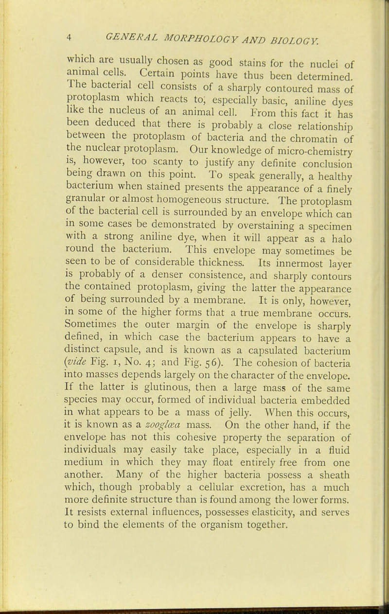 which are usually chosen as good stains for the nuclei of animal cells. Certain points have thus been determined The bacterial cell consists of a sharply contoured mass of protoplasm which reacts to, especially basic, aniline dyes like the nucleus of an animal cell. From this fact it has been deduced that there is probably a close relationship between the protoplasm of bacteria and the chromatin of the nuclear protoplasm. Our knowledge of micro-chemistry is, however, too scanty to justify any definite conclusion being drawn on this point. To speak generally, a healthy bacterium when stained presents the appearance of a finely granular or almost homogeneous structure. The protoplasm of the bacterial cell is surrounded by an envelope which can in some cases be demonstrated by overstaining a specimen with a strong aniline dye, when it will appear as a halo round the bacterium. This envelope may sometimes be seen to be of considerable thickness. Its innermost layer is probably of a denser consistence, and sharply contours the contained protoplasm, giving the latter the appearance of being surrounded by a membrane. It is only, however, in some of the higher forms that a true membrane occurs. Sometimes the outer margin of the envelope is sharply defined, in which case the bacterium appears to have a distinct capsule, and is known as a capsulated bacterium (vide Fig. i, No. 4; and Fig. 56). The cohesion of bacteria into masses depends largely on the character of the envelope. If the latter is glutinous, then a large mass of the same species may occur, formed of individual bacteria embedded in what appears to be a mass of jelly. When this occurs, it is known as a zooglcea mass. On the other hand, if the envelope has not this cohesive property the separation of individuals may easily take place, especially in a fluid medium in which they may float entirely free from one another. Many of the higher bacteria possess a sheath which, though probably a cellular excretion, has a much more definite structure than is found among the lower forms. It resists external influences, possesses elasticity, and serves to bind the elements of the organism together.