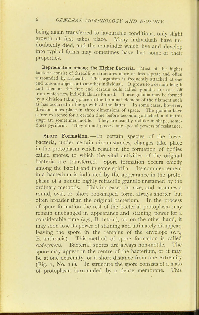 being again transferred to favourable conditions, only slight growth at first takes place. Many individuals have un- doubtedly died, and the remainder which live and develop into typical forms may sometimes have lost some of their properties. Reproduction among the Higher Bacteria.—Most of the higher bacteria consist of threadlike structures more or less septate and often surrounded by a sheath. The organism is frequently attached at one end to some object or to another individual. It grows to a certain length and then at the free end certain cells called gonidia are cast off from which new individuals are formed. These gonidia may be formed by a division taking place in the terminal element of the filament such as has occurred in the growth of the latter. In some cases, however, division takes place in three dimensions of space. The gonidia have a free existence for a certain time before becoming attached, and in this stage are sometimes motile. They are usually rodlike in shape, some- times pyriform. They do not possess any special powers of resistance. Spore Formation. — In certain species of the lower bacteria, under certain circumstances, changes take place in the protoplasm which result in the formation of bodies called spores, to which the vital activities of the original bacteria are transferred. Spore formation occurs chiefly among the bacilli and in some spirilla. Its commencement in a bacterium is indicated by the appearance in the proto- plasm of a minute highly refractile granule unstained by the ordinary methods. This increases in size, and assumes a round, oval, or short rod-shaped form, always shorter but often broader than the original bacterium. In the process of spore formation the rest of the bacterial protoplasm may remain unchanged in appearance and staining power for a considerable time {e.g., B. tetani), or, on the other hand, it may soon lose its power of staining and ultimately disappear, leaving the spore in the remains of the envelope {e.g., B. anthracis). This method of spore formation is called endogenous. Bacterial spores are always non-motile. The spore may appear in the centre of the bacterium, or it may be at one extremity, or a short distance from one extremity (Fig. i, No. n). In structure the spore consists of amass of protoplasm surrounded by a dense membrane. This