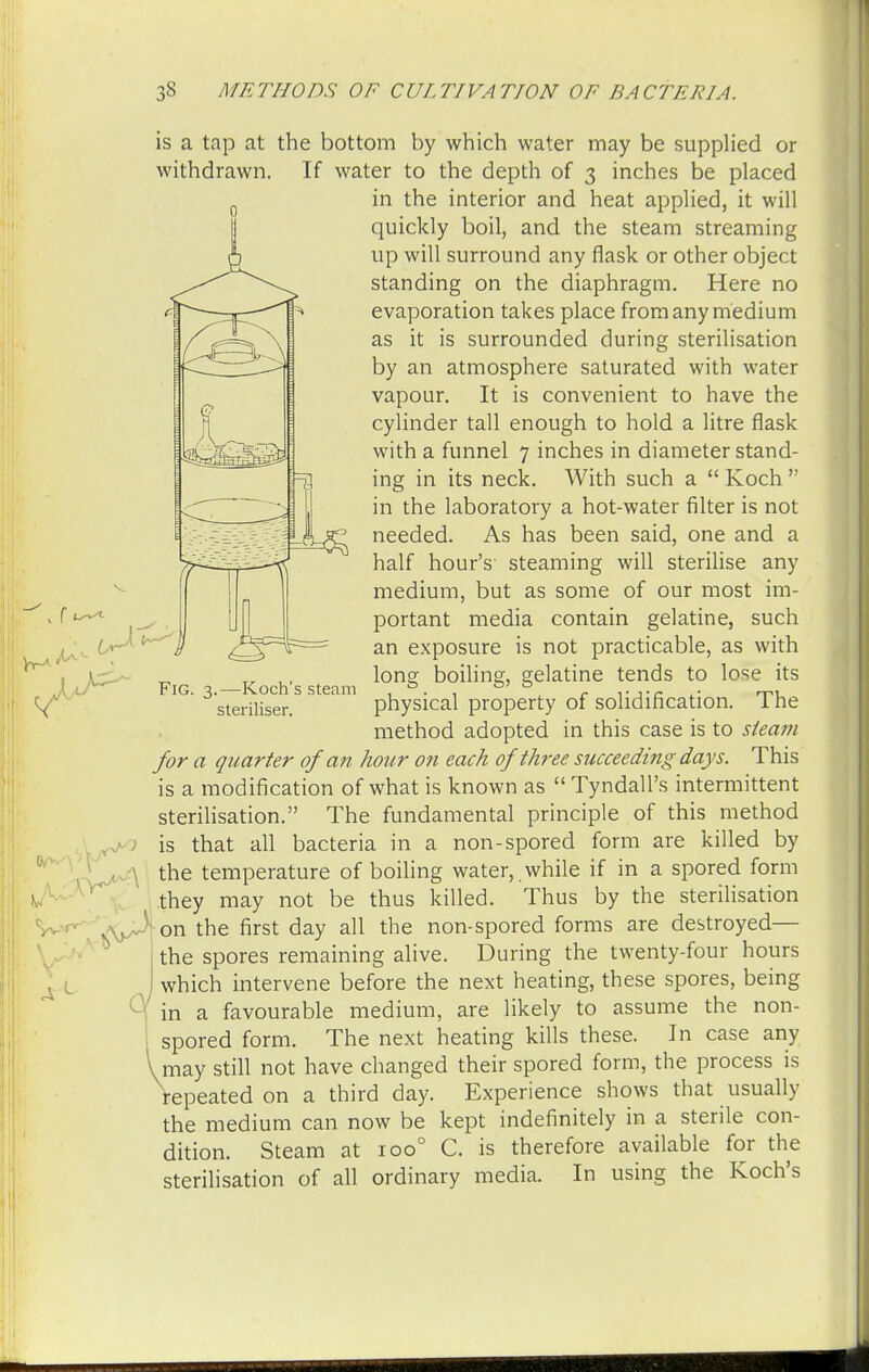 A is a tap at the bottom by which water may be supplied or withdrawn. If water to the depth of 3 inches be placed in the interior and heat applied, it will quickly boil, and the steam streaming up will surround any flask or other object standing on the diaphragm. Here no evaporation takes place from any medium as it is surrounded during sterilisation by an atmosphere saturated with water vapour. It is convenient to have the cylinder tall enough to hold a litre flask with a funnel 7 inches in diameter stand- ing in its neck. With such a  Koch  in the laboratory a hot-water filter is not needed. As has been said, one and a half hour's steaming will sterilise any medium, but as some of our most im- portant media contain gelatine, such an exposure is not practicable, as with long boiling, gelatine tends to lose its physical property of solidification. The method adopted in this case is to steam for a quarter of an hour on each of three succeeding days. This is a modification of what is known as  Tyndall's intermittent sterilisation. The fundamental principle of this method is that all bacteria in a non-spored form are killed by the temperature of boiling water, while if in a spored form they may not be thus killed. Thus by the sterilisation on the first day all the non-spored forms are destroyed— I the spores remaining alive. During the twenty-four hours I which intervene before the next heating, these spores, being M in a favourable medium, are likely to assume the non- spored form. The next heating kills these. In case any V may still not have changed their spored form, the process is repeated on a third day. Experience shows that usually the medium can now be kept indefinitely in a sterile con- dition. Steam at ioo° C. is therefore available for the sterilisation of all ordinary media. In using the Koch's Fig. 3.—Koch's steam steriliser.