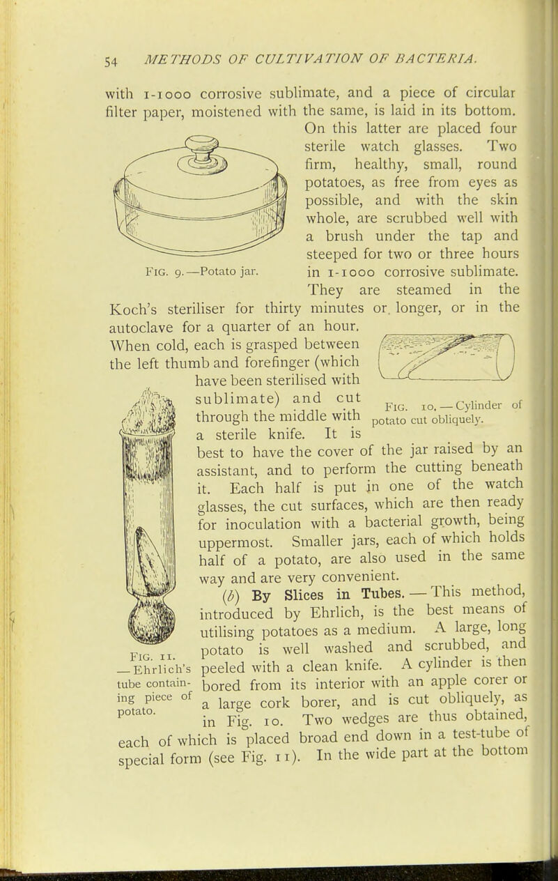 Fig. 9.—Potato jar. with 1-1000 corrosive sublimate, and a piece of circular filter paper, moistened with the same, is laid in its bottom. On this latter are placed four sterile watch glasses. Two firm, healthy, small, round potatoes, as free from eyes as possible, and with the skin whole, are scrubbed well with a brush under the tap and steeped for two or three hours in 1-1000 corrosive sublimate. They are steamed in the Koch's steriliser for thirty minutes or, longer, or in the autoclave for a quarter of an hour. When cold, each is grasped between the left thumb and forefinger (which have been sterilised with sublimate) and cut r„i,„,w nf ' . , Mg. 10.—Cylinder ol through the middle with potato cut obnqueiy. a sterile knife. It is best to have the cover of the jar raised by an assistant, and to perform the cutting beneath it. Each half is put in one of the watch glasses, the cut surfaces, which are then ready for inoculation with a bacterial growth, being uppermost. Smaller jars, each of which holds half of a potato, are also used in the same way and are very convenient. (b) By Slices in Tubes.—This method, introduced by Ehrlich, is the best means of utilising potatoes as a medium. A large, long potato is well washed and scrubbed, and -EhrHch's peeled with a clean knife. A cylinder is then tube contain- DOreci fr0m its interior with an apple corer or ing piece of & cork borer) and is cut obliquely, as P0tat°' in Fig. 10. Two wedges are thus obtained, each of which is placed broad end down in a test-tube of special form (see Fig. n). In the wide part at the bottom