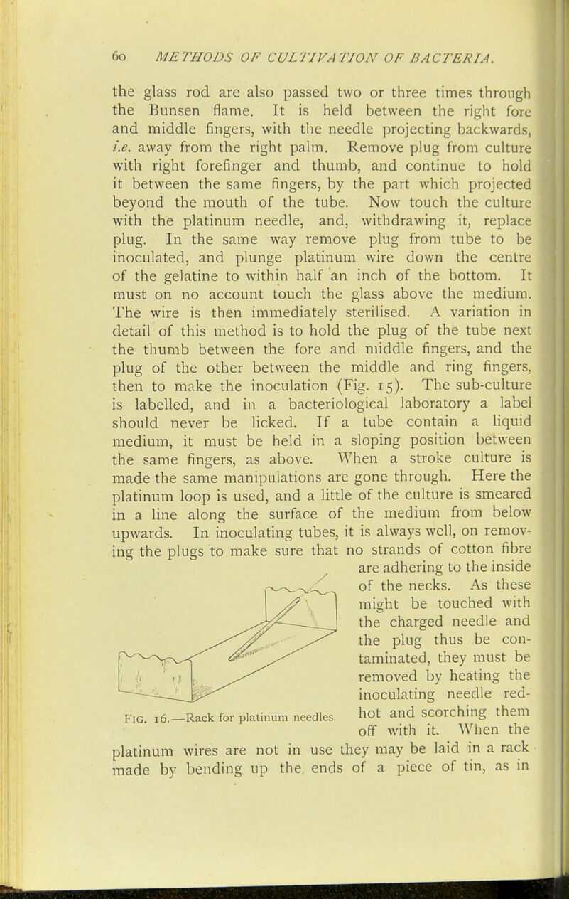 the glass rod are also passed two or three times through the Bunsen flame. It is held between the right fore and middle fingers, with the needle projecting backwards, i.e. away from the right palm. Remove plug from culture with right forefinger and thumb, and continue to hold it between the same fingers, by the part which projected beyond the mouth of the tube. Now touch the culture with the platinum needle, and, withdrawing it, replace plug. In the same way remove plug from tube to be inoculated, and plunge platinum wire down the centre of the gelatine to within half an inch of the bottom. It must on no account touch the glass above the medium. The wire is then immediately sterilised. A variation in detail of this method is to hold the plug of the tube next the thumb between the fore and middle fingers, and the plug of the other between the middle and ring fingers, then to make the inoculation (Fig. 15). The sub-culture is labelled, and in a bacteriological laboratory a label should never be licked. If a tube contain a liquid medium, it must be held in a sloping position between the same fingers, as above. When a stroke culture is made the same manipulations are gone through. Here the platinum loop is used, and a little of the culture is smeared in a line along the surface of the medium from below upwards. In inoculating tubes, it is always well, on remov- ing the plugs to make sure that no strands of cotton fibre are adhering to the inside of the necks. As these might be touched with the charged needle and the plug thus be con- taminated, they must be removed by heating the inoculating needle red- Fig. 16.-Rack for platinum needles. hot and scorching them off with it. When the platinum wires are not in use they may be laid in a rack made by bending up the ends of a piece of tin, as in