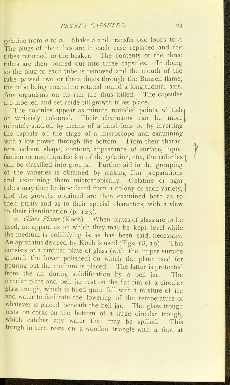 gelatine from a to b. Shake b and transfer two loops to c. The plugs of the tubes are in each case replaced and the tubes returned to the beaker. The contents of the three tubes are then poured out into three capsules. In doing so the plug of each tube is removed and the mouth of the tube passed two or three times through the Bunsen flame, the tube being meantime rotated round a longitudinal axis. Any organisms on its rim are thus killed. The capsules are labelled and set aside till growth takes place. The colonies appear as minute rounded points, whitish 1 or variously coloured. Their characters can be more J minutely studied by means of a hand-lens or by inverting the capsule on the stage of a microscope and examining with a low power through the bottom. From their charac- ters, colour, shape, contour, appearance of surface, lique- faction or non-liquefaction of the gelatine, etc., the colonies | can be classified into groups. Further aid in the grouping of the varieties is obtained by making film preparations and examining them microscopically. Gelatine or agar tubes may then be inoculated from a colony of each variety, 1 and the growths obtained are then examined both as to their purity and as to their special characters, with a view to their identification (p. 123). 2. Glass Plates (Koch).—When plates of glass are to be used, an apparatus on which they may be kept level while the medium is solidifying is, as has been said, necessary. An apparatus devised by Koch is used (Figs. 18, 19). This consists of a circular plate of glass (with the upper surface ground, the lower polished) on which the plate used for pouring out the medium is placed. The latter is protected from the air during solidification by a bell jar. The circular plate and bell jar rest on the flat rim of a circular glass trough, which is filled quite full with a mixture of ice and water to facilitate the lowering of the temperature of whatever is placed beneath the bell jar. The glass trough •rests on corks on the bottom of a large circular trough, which catches any water that may be spilled. This trough in turn rests on a wooden triangle with a foot at