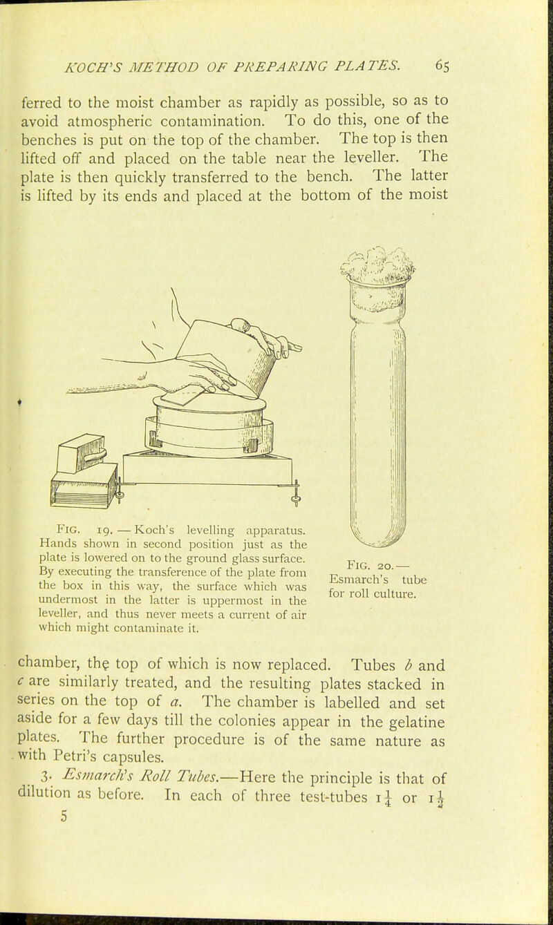 ferred to the moist chamber as rapidly as possible, so as to avoid atmospheric contamination. To do this, one of the benches is put on the top of the chamber. The top is then lifted off and placed on the table near the leveller. The plate is then quickly transferred to the bench. The latter is lifted by its ends and placed at the bottom of the moist Fig. 19. — Koch's levelling apparatus. Hands shown in second position just as the plate is lowered on to the ground glass surface. By executing the transference of the plate from the box in this way, the surface which was undermost in the latter is uppermost in the leveller, and thus never meets a current of air which might contaminate it. Fig. 20.— Esmarch's tube for roll culture. chamber, the top of which is now replaced. Tubes b and c are similarly treated, and the resulting plates stacked in series on the top of a. The chamber is labelled and set aside for a few days till the colonies appear in the gelatine plates. The further procedure is of the same nature as with Petri's capsules. 3. Esmarch's Roll Tubes.—Here the principle is that of dilution as before. In each of three test-tubes il or xl 5
