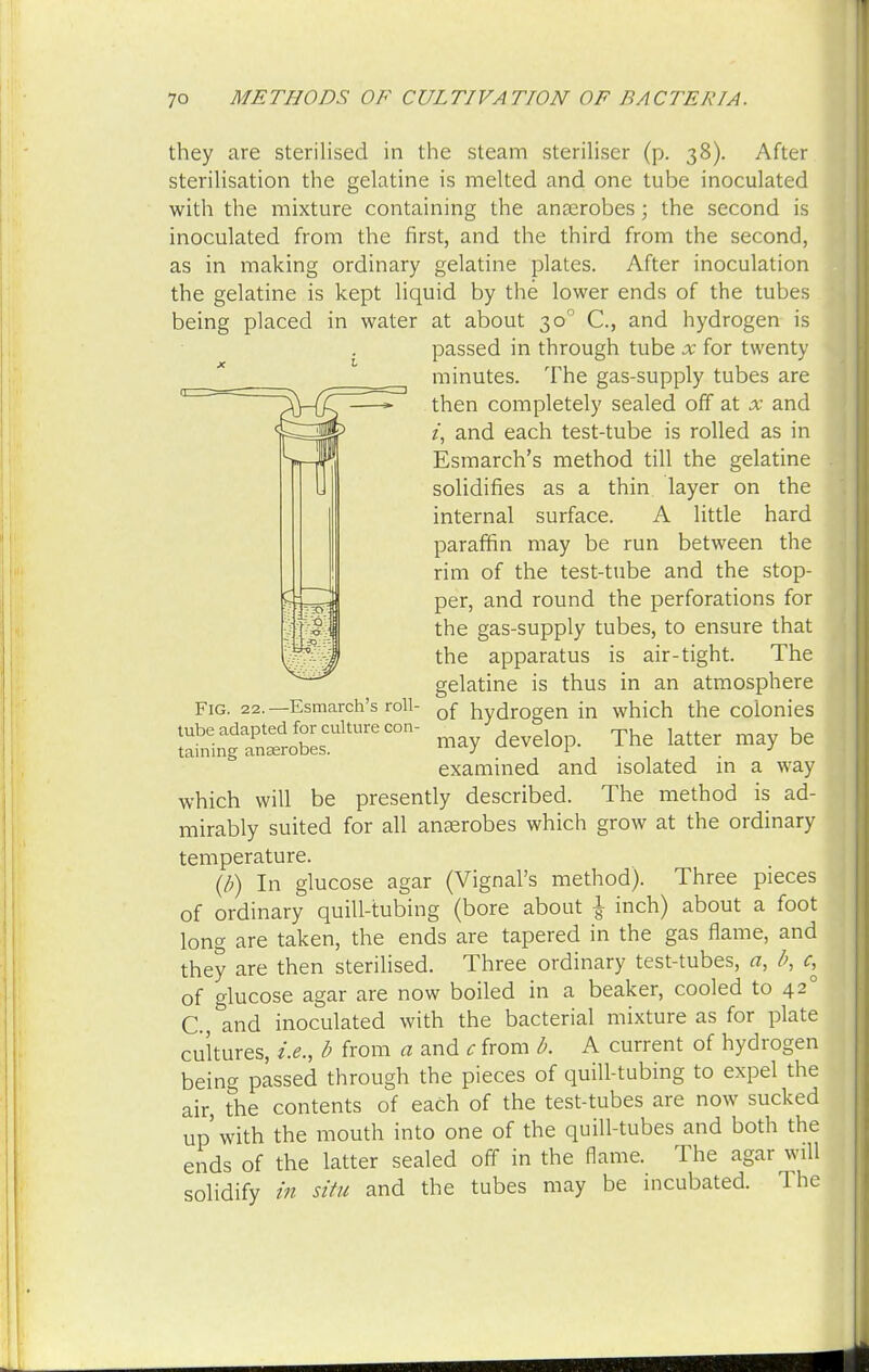 they are sterilised in the steam steriliser (p. 38). After sterilisation the gelatine is melted and one tube inoculated with the mixture containing the anaerobes; the second is inoculated from the first, and the third from the second, as in making ordinary gelatine plates. After inoculation the gelatine is kept liquid by the lower ends of the tubes being placed in water at about 30° C, and hydrogen is passed in through tube x for twenty minutes. The gas-supply tubes are then completely sealed off at x and i, and each test-tube is rolled as in Esmarch's method till the gelatine solidifies as a thin layer on the internal surface. A little hard paraffin may be run between the rim of the test-tube and the stop- per, and round the perforations for the gas-supply tubes, to ensure that the apparatus is air-tight. The gelatine is thus in an atmosphere of hydrogen in which the colonies may develop. The latter may be examined and isolated in a way which will be presently described. The method is ad- mirably suited for all anaerobes which grow at the ordinary temperature. (b) In glucose agar (Vignal's method). Three pieces of ordinary quill-tubing (bore about \ inch) about a foot long are taken, the ends are tapered in the gas flame, and they are then sterilised. Three ordinary test-tubes, a, b, of glucose agar are now boiled in a beaker, cooled to 42° C, and inoculated with the bacterial mixture as for plate cultures, i.e., b from a and c from b. A current of hydrogen being passed through the pieces of quill-tubing to expel the air, the contents of each of the test-tubes are now sucked up'with the mouth into one of the quill-tubes and both the ends of the latter sealed off in the flame. The agar will solidify in situ and the tubes may be incubated. The Fig. 22. —Esmarch's roll- tube adapted for culture con- taining anaerobes.