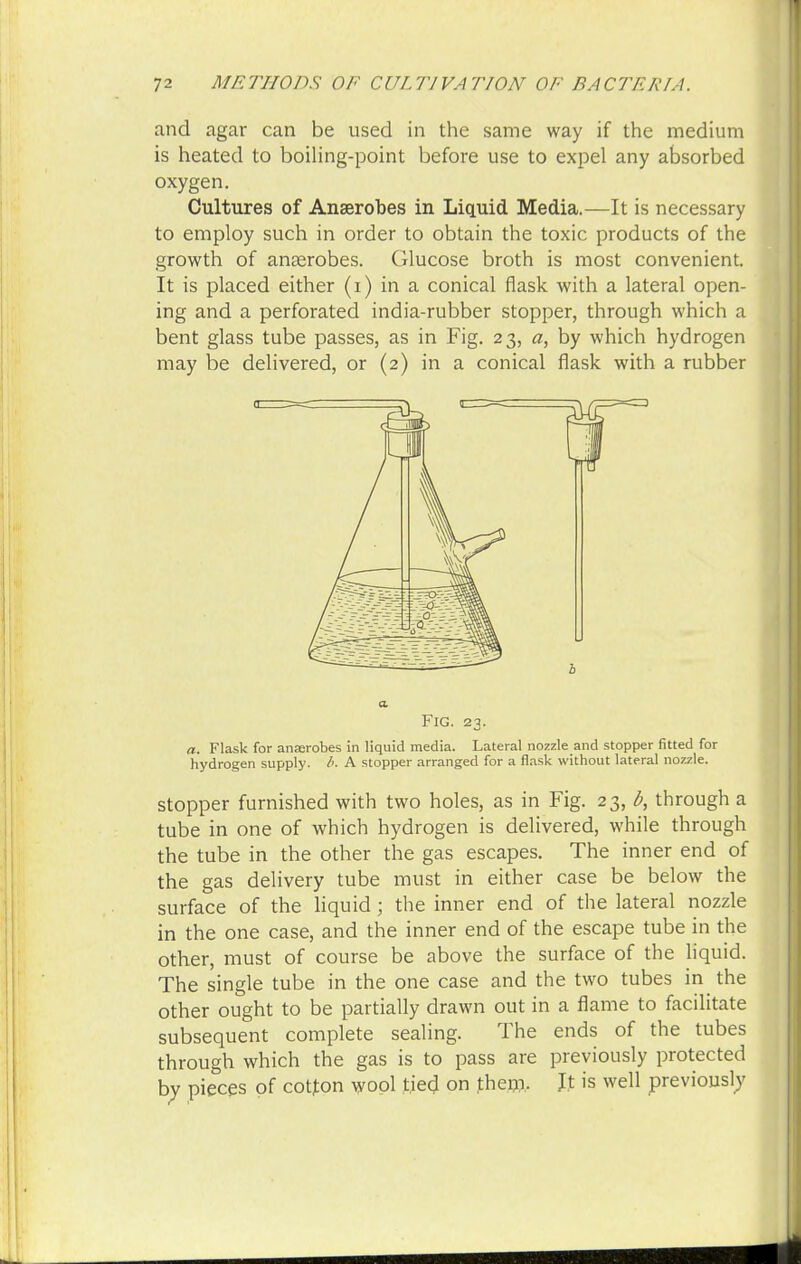 and agar can be used in the same way if the medium is heated to boiling-point before use to expel any absorbed oxygen. Cultures of Anaerobes in Liquid Media.—It is necessary to employ such in order to obtain the toxic products of the growth of anaerobes. Glucose broth is most convenient. It is placed either (i) in a conical flask with a lateral open- ing and a perforated india-rubber stopper, through which a bent glass tube passes, as in Fig. 23, «, by which hydrogen may be delivered, or (2) in a conical flask with a rubber Fig. 23. a. Flask for anserobes in liquid media. Lateral nozzle and stopper fitted for hydrogen supply. b. A stopper arranged for a flask without lateral nozzle. stopper furnished with two holes, as in Fig. 23, b, through a tube in one of which hydrogen is delivered, while through the tube in the other the gas escapes. The inner end of the gas delivery tube must in either case be below the surface of the liquid; the inner end of the lateral nozzle in the one case, and the inner end of the escape tube in the other, must of course be above the surface of the liquid. The single tube in the one case and the two tubes in the other ought to be partially drawn out in a flame to facilitate subsequent complete sealing. The ends of the tubes through which the gas is to pass are previously protected by pieces of cotton wool tied on them- It is well previously