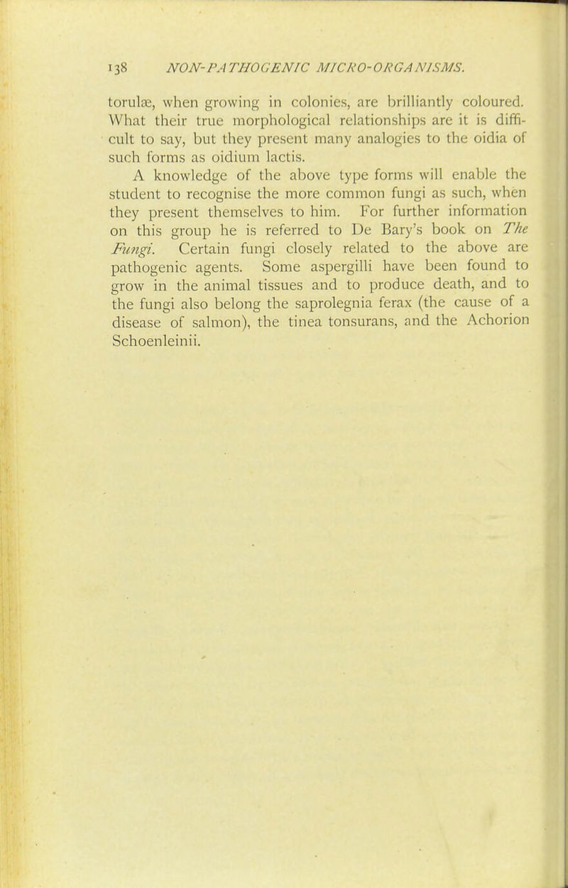 torulae, when growing in colonies, are brilliantly coloured. What their true morphological relationships are it is diffi- cult to say, but they present many analogies to the oidia of such forms as oidium lactis. A knowledge of the above type forms will enable the student to recognise the more common fungi as such, when they present themselves to him. For further information on this group he is referred to De Bary's book on The Fungi. Certain fungi closely related to the above are pathogenic agents. Some aspergilli have been found to grow in the animal tissues and to produce death, and to the fungi also belong the saprolegnia ferax (the cause of a disease of salmon), the tinea tonsurans, and the Achorion Schoenleinii.