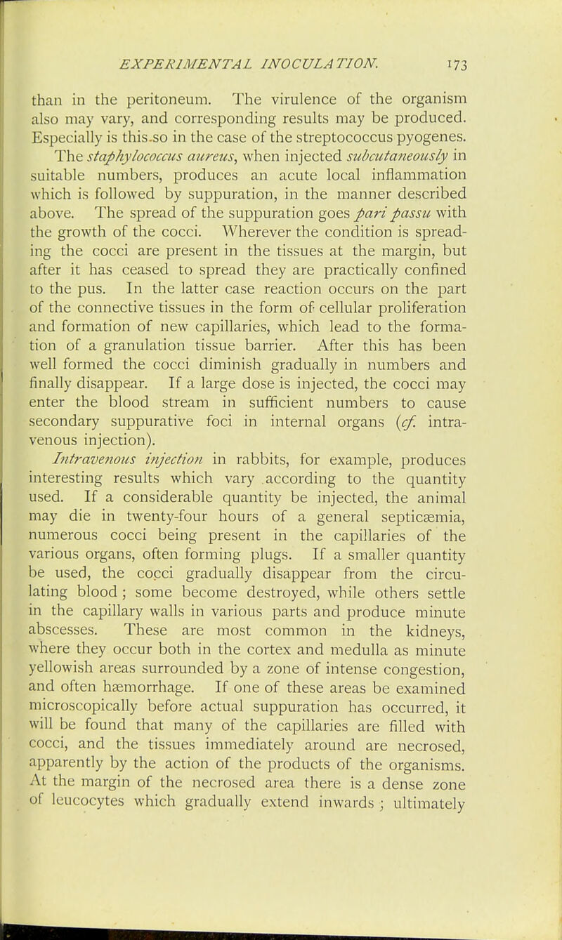 than in the peritoneum. The virulence of the organism also may vary, and corresponding results may be produced. Especially is this.so in the case of the streptococcus pyogenes. The staphylococcus aureus, when injected subcutaneously in suitable numbers, produces an acute local inflammation which is followed by suppuration, in the manner described above. The spread of the suppuration goes pari passu with the growth of the cocci. Wherever the condition is spread- ing the cocci are present in the tissues at the margin, but after it has ceased to spread they are practically confined to the pus. In the latter case reaction occurs on the part of the connective tissues in the form of cellular proliferation and formation of new capillaries, which lead to the forma- tion of a granulation tissue barrier. After this has been well formed the cocci diminish gradually in numbers and finally disappear. If a large dose is injected, the cocci may enter the blood stream in sufficient numbers to cause secondary suppurative foci in internal organs {cf. intra- venous injection). Intravenous injection in rabbits, for example, produces interesting results which vary according to the quantity used. If a considerable quantity be injected, the animal may die in twenty-four hours of a general septicaemia, numerous cocci being present in the capillaries of the various organs, often forming plugs. If a smaller quantity be used, the cocci gradually disappear from the circu- lating blood ; some become destroyed, while others settle in the capillary walls in various parts and produce minute abscesses. These are most common in the kidneys, where they occur both in the cortex and medulla as minute yellowish areas surrounded by a zone of intense congestion, and often haemorrhage. If one of these areas be examined microscopically before actual suppuration has occurred, it will be found that many of the capillaries are filled with cocci, and the tissues immediately around are necrosed, apparently by the action of the products of the organisms. At the margin of the necrosed area there is a dense zone of leucocytes which gradually extend inwards ; ultimately
