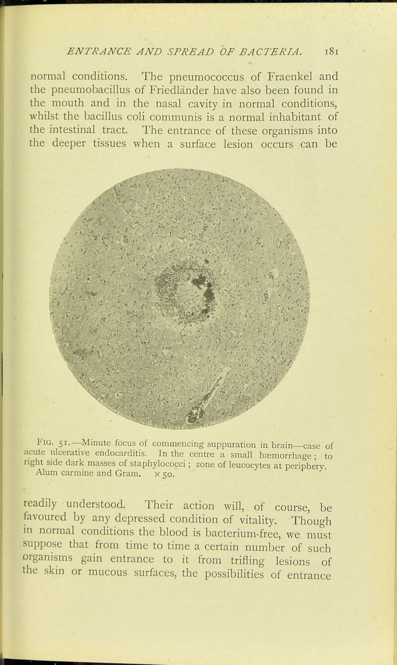 normal conditions. The pneumococcus of Fraenkel and the pneumobacillus of Friedlander have also been found in the mouth and in the nasal cavity in normal conditions, whilst the bacillus coli communis is a normal inhabitant of the intestinal tract. The entrance of these organisms into the deeper tissues when a surface lesion occurs can be Fig. 51.—Minute focus of commencing suppuration in brain—case of acute ulcerative endocarditis. In the centre a small hemorrhage ; to right side dark masses of staphylococci ; zone of leucocytes at periphery. Alum carmine and Gram. x 50. readily understood. Their action will, of course, be favoured by any depressed condition of vitality. Though in normal conditions the blood is bacterium-free, we must suppose that from time to time a certain number of such organisms gain entrance to it from trifling lesions of the skin or mucous surfaces, the possibilities of entrance