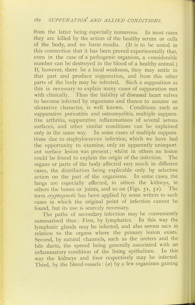 from the latter being especially numerous. In most cases they are killed by the action of the healthy serum or cells of the body, and no harm results. (It is to be noted in this connection that it has been proved experimentally that, even in the case of a pathogenic organism, a considerable number can be destroyed in the blood of a healthy animal.) If, however, there be a local weakness, they may settle in that part and produce suppuration, and from this other parts of the body may be infected. Such a supposition as this is necessary to explain many cases of suppuration met with clinically. Thus the liability of diseased heart valves to become infected by organisms and thence to assume an ulcerative character, is well known. Conditions such as suppurative periostitis and osteomyelitis, multiple suppura- tive arthritis, suppurative inflammations of several serous surfaces, and other similar conditions can be explained only in the same way. In some cases of multiple suppura- tions due to staphylococcus infection, which we have had the opportunity to examine, only an apparently unimport- ant surface lesion was present; whilst in others no lesion could be found to explain the origin of the infection. The organs or parts of the body affected vary much in different cases, the distribution being explicable only by selective action on the part of the organisms. In some cases the lungs are especially affected, in others the kidne>s, in others the bones or joints, and so on (Figs. 51, 52). The term cryfitogenetic has been applied by some writers to such cases in which the original point of infection cannot be found, but its use is scarcely necessary. The paths of secondary infection may be conveniently summarised thus : First, by lymphatics. In this way the lymphatic glands may be infected, and also serous sacs in relation to the organs where the primary lesion exists. Second, by natural channels, such as the ureters and the bile ducts, the spread being generally associated with an inflammatory condition of the lining epithelium. In this way the kidneys and liver respectively may be infected. Third, by the blood-vessels : (a) by a few organisms gaining