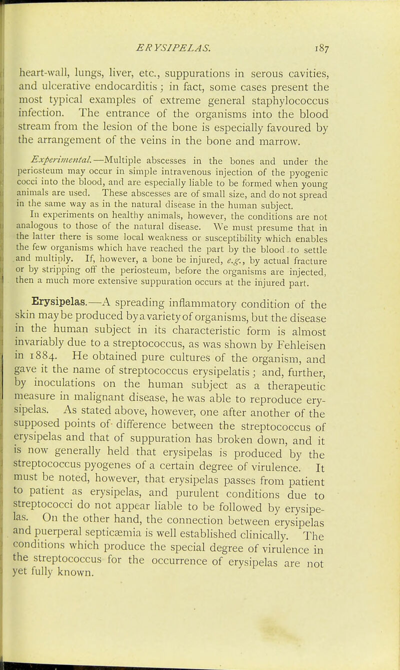 heart-wall, lungs, liver, etc., suppurations in serous cavities, and ulcerative endocarditis; in fact, some cases present the most typical examples of extreme general staphylococcus infection. The entrance of the organisms into the blood stream from the lesion of the bone is especially favoured by the arrangement of the veins in the bone and marrow. Experimental.—Multiple abscesses in the bones and under the periosteum may occur in simple intravenous injection of the pyogenic cocci into the blood, and are especially liable to be formed when young animals are used. These abscesses are of small size, and do not spread in the same way as in the natural disease in the human subject. In experiments on healthy animals, however, the conditions are not analogous to those of the natural disease. We must presume that in the latter there is some local weakness or susceptibility which enables the few organisms which have reached the part by the blood.to settle and multiply. If, however, a bone be injured, e.g., by actual fracture or by stripping off the periosteum, before the organisms are injected, then a much more extensive suppuration occurs at the injured part. Erysipelas.—A spreading inflammatory condition of the skin maybe produced byavarietyof organisms, but the disease in the human subject in its characteristic form is almost invariably due to a streptococcus, as was shown by Fehleisen in 1884. He obtained pure cultures of the organism, and gave it the name of streptococcus erysipelatis; and, further, by inoculations on the human subject as a therapeutic measure in malignant disease, he was able to reproduce ery- sipelas. As stated above, however, one after another of the supposed points of- difference between the streptococcus of erysipelas and that of suppuration has broken down, and it is now generally held that erysipelas is produced by the streptococcus pyogenes of a certain degree of virulence. It must be noted, however, that erysipelas passes from patient to patient as erysipelas, and purulent conditions due to streptococci do not appear liable to be followed by erysipe- las. On the other hand, the connection between erysipelas and puerperal septicaemia is well established clinically. The conditions which produce the special degree of virulence in the streptococcus for the occurrence of erysipelas are not yet fully known.
