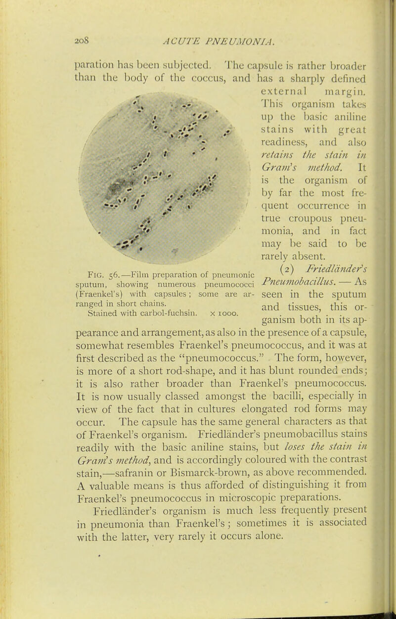 paration has been subjected. The capsule is rather broader than the body of the coccus, and has a sharply defined external margin. This organism takes up the basic aniline stains with great readiness, and also retains the stain in Gram's method. It is the organism of by far the most fre- quent occurrence in true croupous pneu- monia, and in fact may be said to be rarely absent. (2) Fried/tinder's Pneumobacillus. — As seen in the sputum and tissues, this or- ganism both in its ap- pearance and arrangement, as also in the presence of a capsule, somewhat resembles Fraenkel's pneumococcus, and it was at first described as the pneumococcus. The form, however, is more of a short rod-shape, and it has blunt rounded ends; it is also rather broader than Fraenkel's pneumococcus. It is now usually classed amongst the bacilli, especially in view of the fact that in cultures elongated rod forms may occur. The capsule has the same general characters as that of Fraenkel's organism. Friedlander's pneumobacillus stains readily with the basic aniline stains, but loses the stain in Grain's method, and is accordingly coloured with the contrast stain,—safranin or Bismarck-brown, as above recommended. A valuable means is thus afforded of distinguishing it from Fraenkel's pneumococcus in microscopic preparations. Friedlander's organism is much less frequently present in pneumonia than Fraenkel's; sometimes it is associated with the latter, very rarely it occurs alone. Fig. 56.—Film preparation of pneumonic sputum, showing numerous pneumococci (Fraenkel's) with capsules; some are ar- ranged in short chains. Stained with carbol-fuchsin. x 1000.