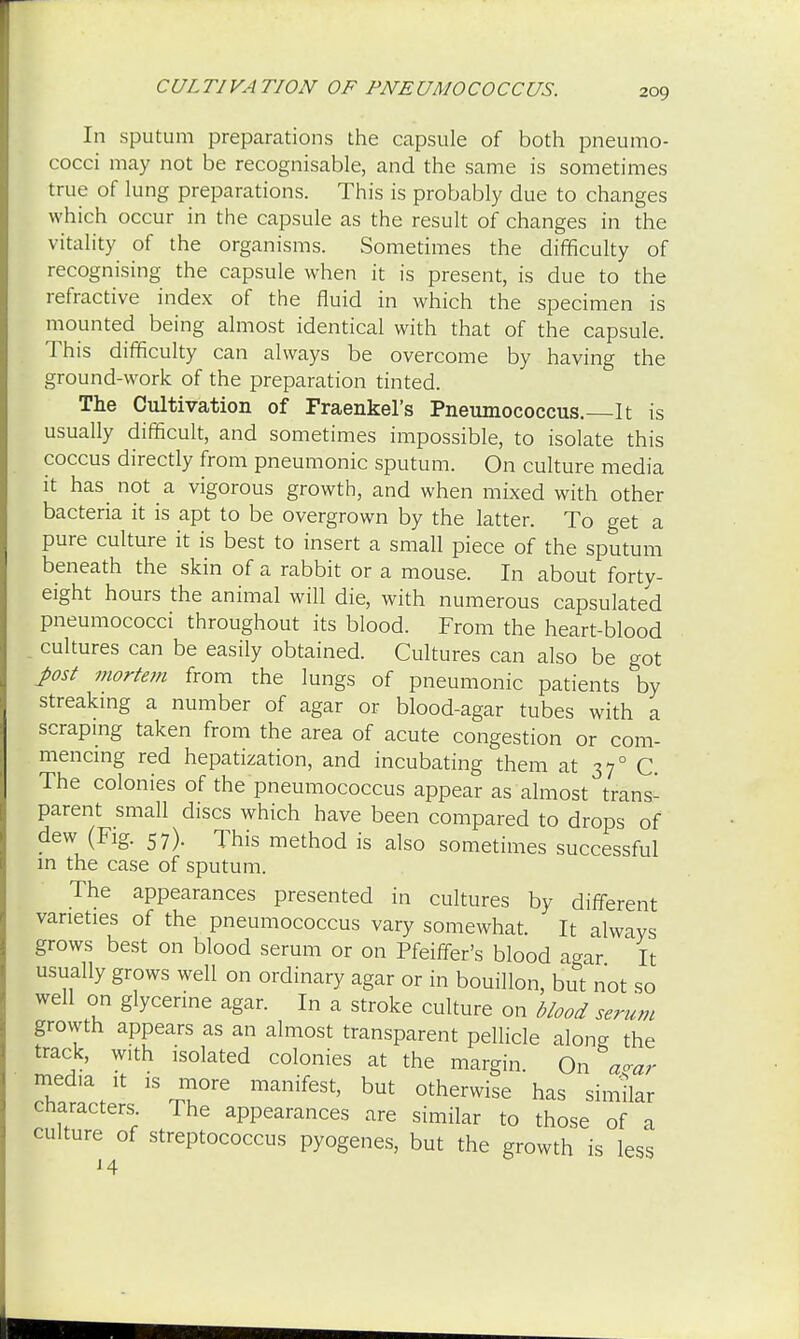In sputum preparations the capsule of both pneumo- cocci may not be recognisable, and the same is sometimes true of lung preparations. This is probably due to changes which occur in the capsule as the result of changes in the vitality of the organisms. Sometimes the difficulty of recognising the capsule when it is present, is due to the refractive index of the fluid in which the specimen is mounted being almost identical with that of the capsule. This difficulty can always be overcome by having the ground-work of the preparation tinted. The Cultivation of Fraenkel's Pneumococcus. It is usually difficult, and sometimes impossible, to isolate this coccus directly from pneumonic sputum. On culture media it has not a vigorous growth, and when mixed with other bacteria it is apt to be overgrown by the latter. To get a pure culture it is best to insert a small piece of the sputum beneath the skin of a rabbit or a mouse. In about forty- eight hours the animal will die, with numerous capsulated pneumococci throughout its blood. From the heart-blood . cultures can be easily obtained. Cultures can also be got pst mortem from the lungs of pneumonic patients by streaking a number of agar or blood-agar tubes with a scraping taken from the area of acute congestion or com- mencing red hepatization, and incubating them at 370 C. The colonies of the pneumococcus appear as almost trans- parent small discs which have been compared to drops of dew (Fig. 57). This method is also sometimes successful in the case of sputum. The appearances presented in cultures by different varieties of the pneumococcus vary somewhat. It always grows best on blood serum or on Pfeiffer's blood agar It usually grows well on ordinary agar or in bouillon, but not so well on glycerine agar. In a stroke culture on blood serum grovyth appears as an almost transparent pellicle along the track, with isolated colonies at the margin. On amr media it is more manifest, but otherwise has similar characters. The appearances are similar to those of a culture of streptococcus pyogenes, but the growth is less x4