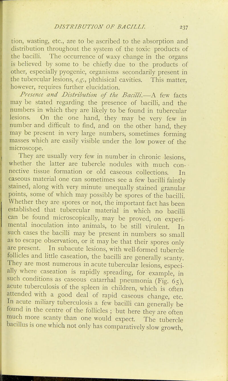 tion, wasting, etc., are to be ascribed to the absorption and distribution throughout the system of the toxic products of the bacilli. The occurrence of waxy change in the organs is believed by some to be chiefly due to the products of other, especially pyogenic, organisms secondarily present in the tubercular lesions, e.g., phthisical cavities. This matter, however, requires further elucidation. Presence and Distribution of the Bacilli.—A few facts may be stated regarding the presence of bacilli, and the numbers in which they are likely to be found in tubercular lesions. On the one hand, they may be very few in number and difficult to find, and on the other hand, they may be present in very large numbers, sometimes forming masses which are easily visible under the low power of the microscope. They are usually very few in number in chronic lesions, whether the latter are tubercle nodules with much con- nective tissue formation or old caseous collections. In caseous material one can sometimes see a few bacilli faintly stained, along with very minute unequally stained granular points, some of which may possibly be spores of the bacilli. Whether they are spores or not, the important fact has been established that tubercular material in which no bacilli can be found microscopically, may be proved, on experi- mental inoculation into animals, to be still virulent. In such cases the bacilli may be present in numbers so small as to escape observation, or it may be that their spores only are present. In subacute lesions, with well-formed tubercle follicles and little caseation, the bacilli are generally scanty. They are most numerous in acute tubercular lesions, especi- ally where caseation is rapidly spreading, for example, in such conditions as caseous catarrhal pneumonia (Fig. 65), acute tuberculosis of the spleen in children, which is often attended with a good deal of rapid caseous change, etc. In acute miliary tuberculosis a few bacilli can generally be found in the centre of the follicles ; but here they are often much more scanty than one would expect. The tubercle bacillus is one which not only has comparatively slow growth,