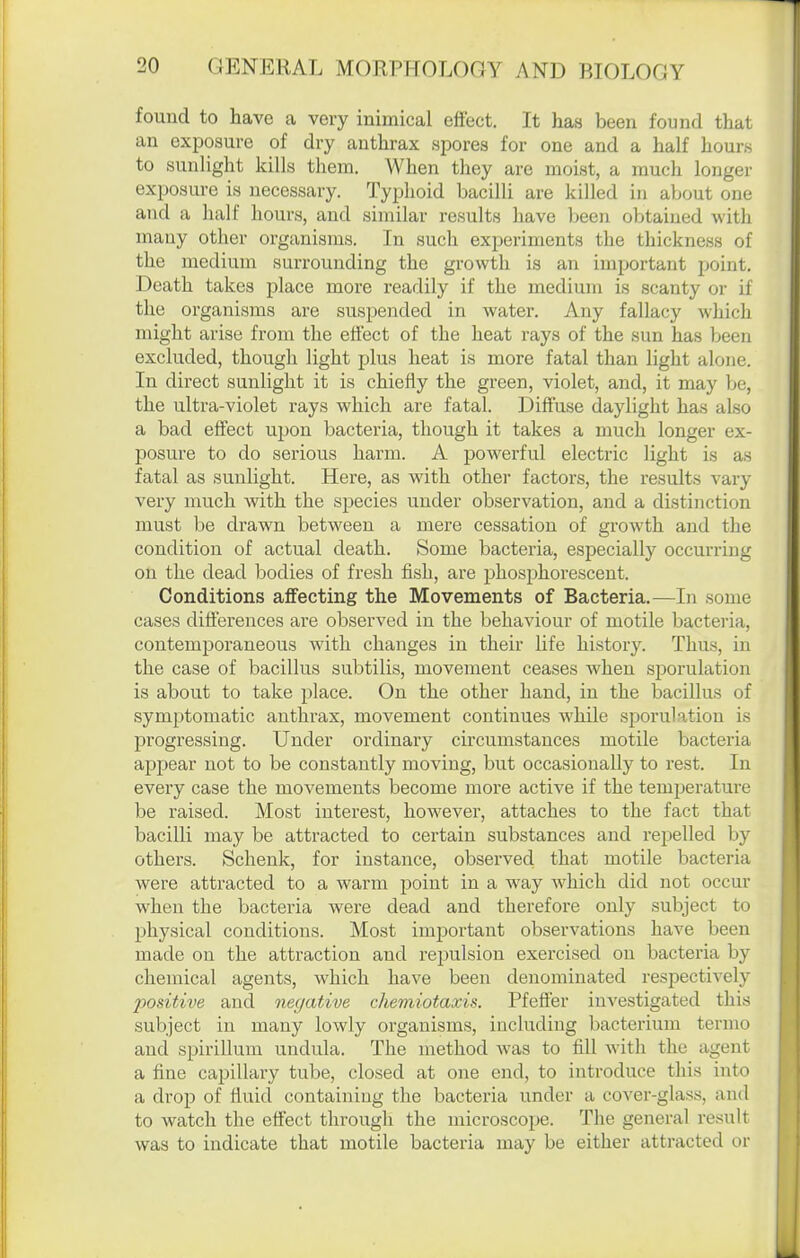 found to have a very inimical effect. It has been found that an exposure of dry anthrax spores for one and a half hours to sunlight kills them. When they are moist, a much longer exposure is necessary. Typhoid bacilli are killed in about one and a half hours, and similar results have been obtained with many other organisms. In such experiments the thickness of the medium surrounding the growth is an important point. Death takes place more readily if the medium is scanty or if the organisms are suspended in water. Any fallacy which might arise from the effect of the heat rays of the sun has been excluded, though light plus heat is more fatal than light alone. In direct sunlight it is chiefly the green, violet, and, it may be, the ultra-violet rays which are fatal. Diffuse daylight has also a bad effect upon bacteria, though it takes a much longer ex- posure to do serious harm. A powerful electric light is as fatal as sunlight. Here, as with other factors, the results vary very much with the species under observation, and a distinction must be drawn between a mere cessation of groAvth and the condition of actual death. Some bacteria, especially occurring on the dead bodies of fresh fish, are j^hosphorescent. Conditions affecting the Movements of Bacteria.—In some cases differences are observed in the behaviour of motile bacteria, contemporaneous with changes in their life history. Thus, in the case of bacillus subtilis, movement ceases when sporulation is about to take place. On the other hand, in the bacillus of symptomatic anthrax, movement continues while sporulation is progressing. Under ordinary circumstances motile bacteria appear not to be constantly moving, but occasionally to rest. In every case the movements become more active if the temperature be raised. Most interest, however, attaches to the fact that bacilli may be attracted to certain substances and repelled by others. Schenk, for instance, observed that motile bacteria were attracted to a warm point in a way which did not occur when the bacteria were dead and therefore only subject to physical conditions. Most imj^ortant observations have been made on the attraction and repulsion exercised on bacteria by chemical agents, which have been denominated respectively 2J0sitive and negative chemiotaxis. Pfeffer investigated this subject in many lowly organisms, including bacterium termo and spirillum undula. The method was to fill with the agent a fine capillary tube, closed at one end, to introduce this into a drop of fluid containing the bacteria under a cover-glass, and to watch the effect through the microscope. The general result was to indicate that motile bacteria may be either attracted or