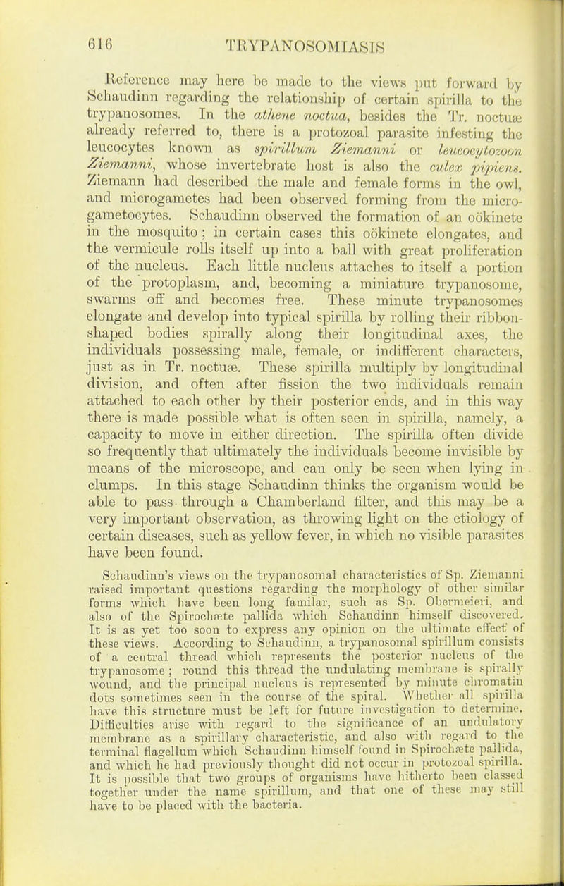 lloference may here be made to the views put forward by Schaudinn regarding the relationship of certain spirilla to the trypanosomes. In the athene noctua, besides the Tr. noctuae already referred to, there is a protozoal parasite infesting the leucocytes known as sjnrillum Ziemanni or leucocytozoon Ziemanni, whose invertebrate host is also the culex pifnens. Ziemann had described the male and female forms in the owl, and microgametes had been observed forming from the micro- gametocytes. Schaudinn observed the formation of an ookinete in the mosquito; in certain cases this ookinete elongates, and the vermicule rolls itself up into a ball with great proliferation of the nucleus. Each little nucleus attaches to itself a portion of the protoplasm, and, becoming a miniature trypanosome, swarms off and becomes free. These minute trypanosomes elongate and develop into typical spirilla by rolling their ribbon- shaped bodies spirally along their longitudinal axes, the individuals possessing male, female, or indifi'erent characters, just as in Tr. nocture. These spirilla multiply by longitudinal division, and often after fission the two individuals remain attached to each other by their posterior ends, and in this Avay there is made possible what is often seen in spirilla, namely, a capacity to move in either direction. The spirilla often divide so frequently that ultimately the individuals become invisible by means of the microscope, and can only be seen when lying in clumps. In this stage Schaudinn thinks the organism would be able to pass, through a Chamberland filter, and this may be a very important observation, as throwing light on the etiology of certain diseases, such as yellow fever, in which no visible parasites have been found. Schaudinn's views on the trypaiiosomal charaeteristics of Sp. Zieiuaiini raised important questions regarding the morphology of other similar forms which have been long familar, such as Sp. Obermeieri, and also of the Spiroclifete pallida which Schaudinn himself discovered. It is as yet too soon to express any opinion on the ultimate effect of these views. According to Schaudinn, a trypanosomal spirillum consists of a central thread which represents the posterior nucleus of the trypanosome ; round this thread the undulating membrane is spirally wound, and tlie principal nucleus is represented by minute chromatin dots sometimes seen in the course of the spiral. Whether all spiiilhi have this structure must be left for future investigation to determine. Difficulties arise with regard to the significance of an undulatory membrane as a spirillary characteristic, and also with regard to the terminal flagellum which Schaudinn himself Ibimd in Spirochete pallida, and which he had previously thought did not occur in jirotozoal spirilla. It is possible that two groups of organisms have hitherto been classed together under the name spirillum, and that one of these may still have to be placed with the bacteria.