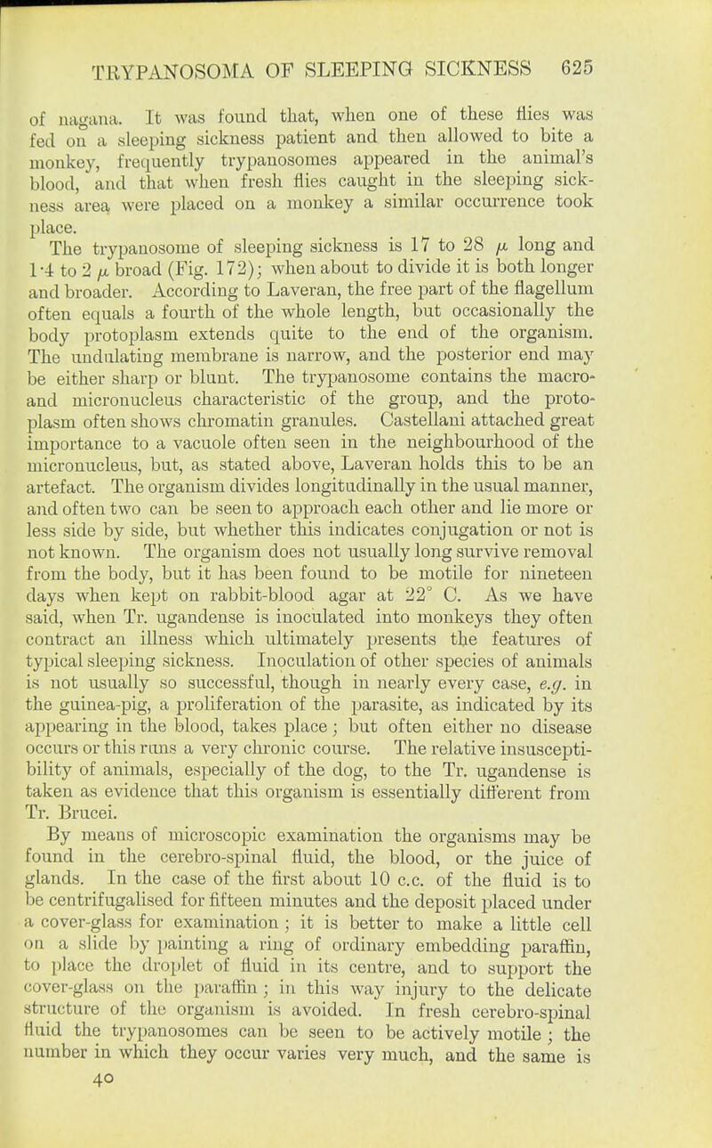 of iiagana. It was found that, when one of these flies was fed on a sleeping sickness patient and then allowed to bite a monkey, fi-equently trypanosomes appeared in the animal's blood, and that when fresh flies caught in the sleeping sick- ness area were placed on a monkey a similar occurrence took place. The trypanosome of sleeping sickness is 17 to 28 /x. long and 1-4 to 2 /A broad (Fig. 172); when about to divide it is both longer and broader. According to Laveran, the free part of the fiagellum often equals a fourth of the whole length, but occasionally the body protoplasm extends quite to the end of the organism. The undulating membrane is narrow, and the posterior end may be either sharp or blunt. The trypanosome contains the macro- and microuucleus characteristic of the group, and the proto- plasm often shows chromatin granules. Castellani attached great importance to a vacuole often seen in the neighbourhood of the microuucleus, but, as stated above, Laveran holds this to be an artefact. The organism divides longitudinally in the usual manner, and often two can be seen to approach each other and lie more or less side by side, but whether this indicates conjugation or not is not known. The organism does not usually long survive removal from the body, but it has been found to be motile for nineteen days when kept on rabbit-blood agar at 22° C. As we have said, when Tr. ugandense is inoculated into monkeys they often contract an illness which ultimately presents the features of tyjjical sleejjing sickness. Inoculation of other species of animals is not usually so successful, though in nearly every case, e.g. in the guinea-pig, a proliferation of the parasite, as indicated by its appearing in the blood, takes place; but often either no disease occuns or this runs a very chronic course. The relative insuscepti- bility of animals, especially of the dog, to the Tr. ugandense is taken as evidence that this organism is essentially different from Tr. Brucei. By means of microscopic examination the organisms may be found in the cerebro-spinal fluid, the blood, or the juice of glands. In the case of the first about 10 c.c. of the fluid is to be centrifugalised for fifteen minutes and the deposit placed under a cover-glass for examination ; it is better to make a little cell on a slide liy i)ainting a ring of ordinary embedding paraffin, to place the droplet of fluid in its centre, and to support the cover-glass on the paraffin ; in this way injury to the delicate structure of the organism is avoided. In fresh cerebro-spinal fluid the trypanosomes can be seen to be actively motile ; the number in which they occur varies very much, and the same is 40