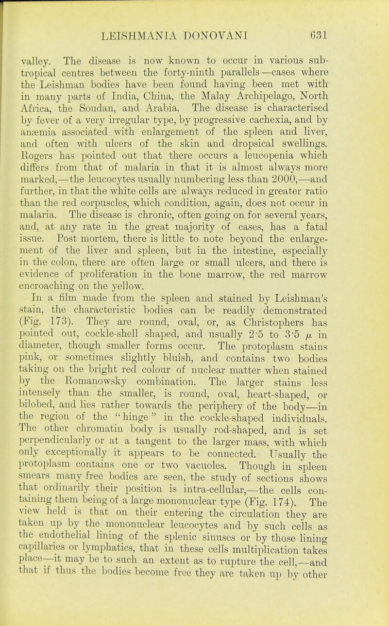 valley. The disease is now known to occur in various sub- tropical centres between the forty-ninth parallels—cases where the Leishman bodies have been found having been met with in many parts of India, China, the Malay Archipelago, North Africa, the Soudan, and Arabia. The disease is characterised by fever of a very irregular type, by progressive cachexia, and by amemia associated with enlargement of the spleen and liver, and often with ulcers of the skin and dropsical swellings. Rogers has pointed out that there occurs a leucopenia which differs from that of malaria in that it is almost always more marked,—the leucocytes usually numbering less than 2000,—and further, in that the white cells are always reduced in greater ratio than the red corpuscles, which condition, again, does not occur in malaria. The disease is chronic, often going on for several years, and, at any rate in the great majority of cases, has a fatal issue. Post mortem, there is little to note beyond the enlarge- ment of the liver and spleen, but in the intestine, especially in the colon, there are often large or small ulcers, and there is evidence of proliferation in the bone marrow, the red marrow encroaching on the yellow. In a film made from the spleen and stained by Leishman's stain, the characteristic bodies can be readily demonstrated (Fig. 173). They are round, oval, or, as Christophers has pointed out, cockle-shell shaped, and usually 2-5 to 3-5 in diameter, though smaller forms occur. The protoplasm stains pink, or sometimes slightly bluish, and contains two bodies taking on the bright red colour of nuclear matter when stained by the Romanowsky combination. The larger stains less intensely than the smaller, is round, oval, heart-shaped, or bilobed, and lies rather towards the periphery of the body—in the region of the hinge in the cockle-shaped individuals. The other chromatin body is usually rod-shaped, and is set perpendicularly or at a tangent to the larger mass, with which only exceptionally it appears to be connected. Usually the protoplasm contains one or two vacuoles. Though in spleen smears many free bodies are seen, the study of sections shows that ordinarily their position is intra-cellular,—the cells con- taining them being of a large mononuclear type (Fig. 174). The view held is that on their entering the circulation they are taken up by the mononuclear leucocytes and by such cells as the endothelial lining of the splenic sinuses or by those lining capillaries or lymphatics, that in these cells multiplication takes place—It may be to such an extent as to rupture the cell,—and that if thus the bodies become free they are taken u}) by other