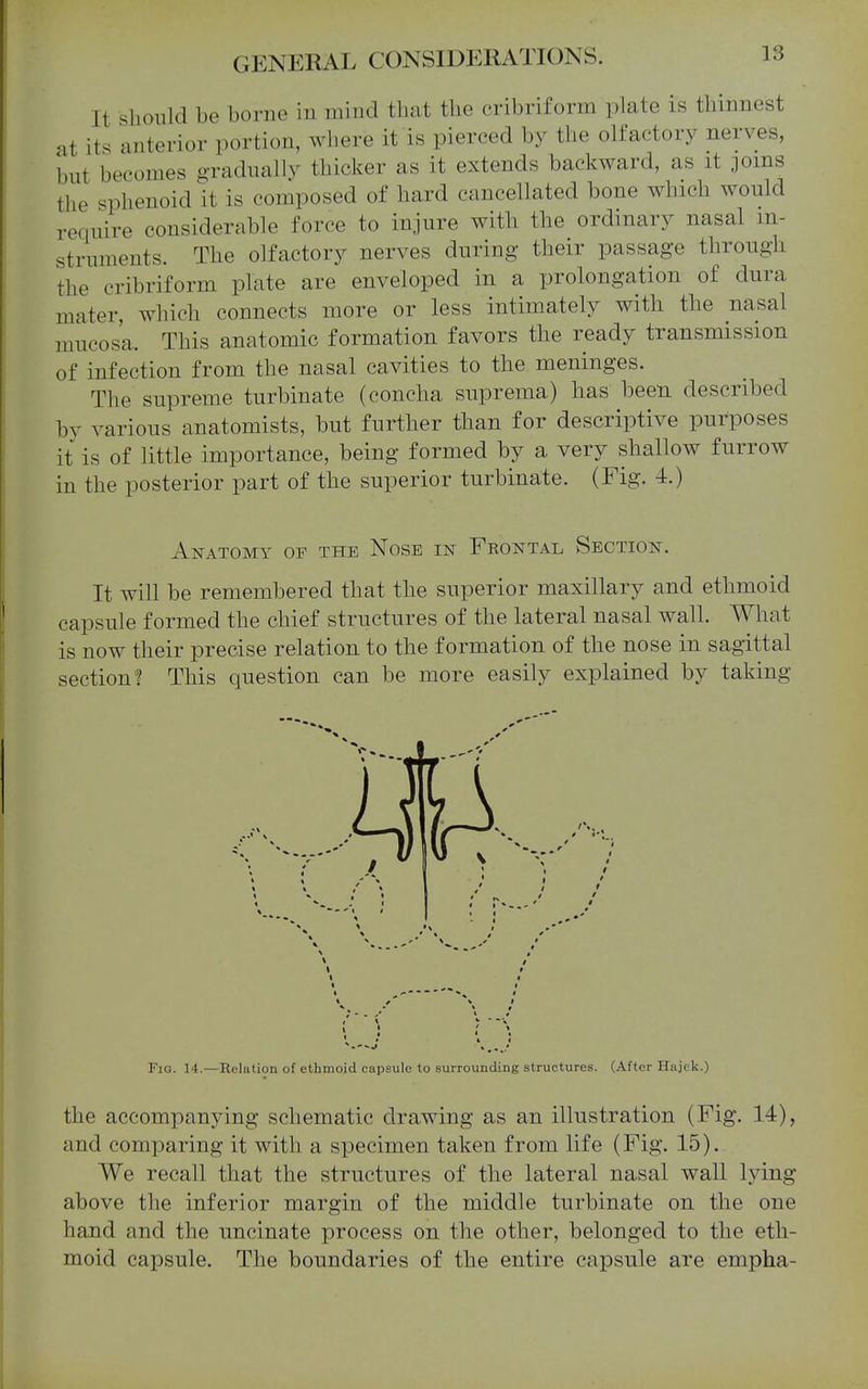 It slionld be borne in mind that the cribriform plate is thinnest at its anterior portion, where it is pierced by the olfactory nerves, but becomes i>-radually thicker as it extends backward, as it joins the sphenoid H is composed of hard cancellated bone which would require considerable force to injure with the ordinary nasal in- struments. The olfactory nerves during their passage through the cribriform plate are enveloped in a prolongation of dura mater, which connects more or less intimately with the nasal mucosa. This anatomic formation favors the ready transmission of infection from the nasal cavities to the meninges. The supreme turbinate (concha suprema) has been described by various anatomists, but further than for descriptive purposes it is of little importance, being formed by a very shallow furrow in the posterior part of the superior turbinate. (Fig. 4.) Anatomy of the Nose in Feontal Section. It will be remembered that the superior maxillary and ethmoid capsule formed the chief structures of the lateral nasal wall. What is now their precise relation to the formation of the nose in sagittal section! This question can be more easily explained by taking ♦ ' Fig. 14.—Relation of ethmoid capsule to surrounding structures. (After Hajek.) the accompanying schematic drawing as an illustration (Fig. 14), and comparing it with a specimen taken from life (Fig. 15). We recall that the structures of the lateral nasal wall lying- above the inferior margin of the middle turbinate on the one hand and the uncinate process on the other, belonged to the eth- moid capsule. The boundaries of the entire capsule are empha-