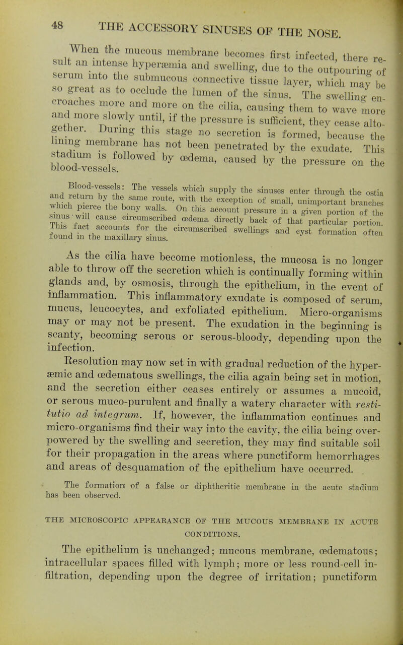 When the mucous membrane becomes first infected, there re u t an intense hyperemia and swelling, due to the out >ou% ot' serum into the submucous connective tissue layer, which may b so great as to occlude the lumen of the sinus. The swelirg en eroaches more and more on the cilia, causing them to wave mor. and more slowly until, if the pressure is suffifient, th^ylelse alto gether. Durmg this stage no secretion is formed, because the lining membrane has not been penetrated by the exudate. This llresrels ^^^^^^ ^ - the nn^ ^ The vessels which supply the sinuses enter through the ostia ^ d letui-n by the same route, with the exception of small, unimpoztrnt branches winch pxerce the bony walls. On this account pressure in 'a given portion oJ he TlT '^ . CH-cumscx-ibed oedema directly back of that particular portion. fnnLt fl.''''''n circumscribed swellings and cyst formatioi often lound in the maxillary smus. As the cilia have become motionless, the mucosa is no longer able to throw off the secretion which is continually forming within glands and, by osmosis, through the epithelium, in the event of inflammation. This inflammatory exudate is composed of serum, mucus, leucocytes, and exfoliated epithelium. Micro-organisms may or may not be present. The exudation in the beginning is scanty, becoming serous or serous-bloody, depending upon the infection. Resolution may now set in with gradual reduction of the hyper- semic and oedematous swellings, the cilia again being set in motion, and the secretion either ceases entirely or assumes a mucoid, or serous muco-purulent and finally a watery character with resti- tutio ad integrum. If, however, the inflammation continues and micro-organisms find their way into the cavity, the cilia being over- powered by the swelling and secretion, they may find suitable soil for their propagation in the areas where punctiform hemorrhages and areas of desquamation of the epithelium have occurred. The formation; of a false or diphtheritic membrane in the acute stadium has been observed. THE MICEOSCOPIC APPEARANCE OF THE MUCOUS MEMBRANE IN ACUTE CONDITIONS, The epithelium is unchanged; mucous membrane, oedematous; intracellular spaces filled with lymph; more or less round-cell in- filtration, depending upon the degree of irritation; punctiform