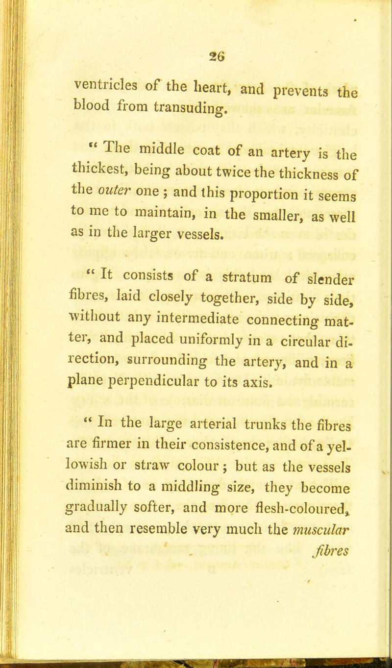 ventricles of the heart, and prevents the blood from transuding.  The middle coat of an artery is the thickest, being about twice the thickness of the outer one ; and this proportion it seems to me to maintain, in the smaller, as well as in the larger vessels.  It consists of a stratum of slender fibres, laid closely together, side by side, without any intermediate connecting mat- ter, and placed uniformly in a circular di- rection, surrounding the artery, and in a plane perpendicular to its axis.  In the large arterial trunks the fibres are firmer in their consistence, and of a yel- lowish or straw colour; but as the vessels diminish to a middling size, they become gradually softer, and more flesh-coloured* and then resemble very much the muscular fibres