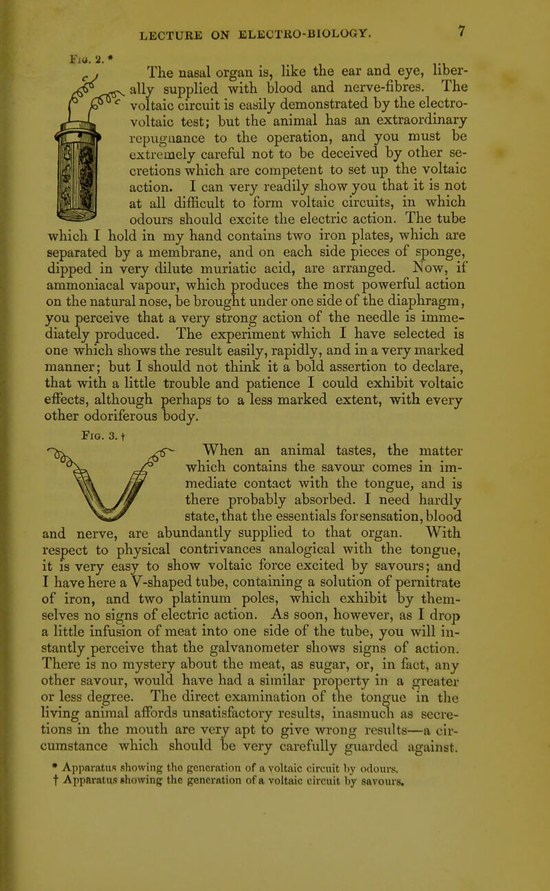 The nasal organ is, like the ear and eye, liber- ally supplied with blood and nerve-fibres. The voltaic circuit is easily demonstrated by the electro- voltaic test; but the animal has an extraordinary repugnance to the operation, and you must be extremely careful not to be deceived by other se- cretions which are competent to set up the voltaic action. I can very readily show you that it is not at all difficult to form voltaic circuits, in which odours should excite the electric action. The tube which I hold in my hand contains two iron plates, which are separated by a membrane, and on each side pieces of sponge, dipped in very dilute muriatic acid, are arranged. Now, if ammoniacal vapour, which produces the most powerful action on the natural nose, be brought under one side of the diaphragm, you perceive that a very strong action of the needle is imme- diately produced. The experiment which I have selected is one which shows the result easily, rapidly, and in a very marked manner; but I should not think it a bold assertion to declare, that with a little trouble and patience I could exhibit voltaic effects, although perhaps to a less marked extent, with every other odoriferous body. Fig. 3. t When an animal tastes, the matter which contains the savour comes in im- mediate contact with the tongue, and is there probably absorbed. I need hardly state, that the essentials for sensation, blood and nerve, are abundantly supplied to that organ. With respect to physical contrivances analogical with the tongue, it is very easy to show voltaic force excited by savours; and I have here a V-shaped tube, containing a solution of pernitrate of iron, and two platinum poles, which exhibit by them- selves no signs of electric action. As soon, however, as I drop a little infusion of meat into one side of the tube, you will in- stantly perceive that the galvanometer shows signs of action. There is no mystery about the meat, as sugar, or, in fact, any other savour, would have had a similar property in a greater or less degree. The direct examination of the tongue in the living animal affords unsatisfactory results, inasmuch as secre- tions in the mouth are very apt to give wrong results—a cir- cumstance which should be very carefully guarded against. * Apparatus showing tho generation of a voltaic circuit by odours, t Apparatus showing the generation of a voltaic circuit by savours.