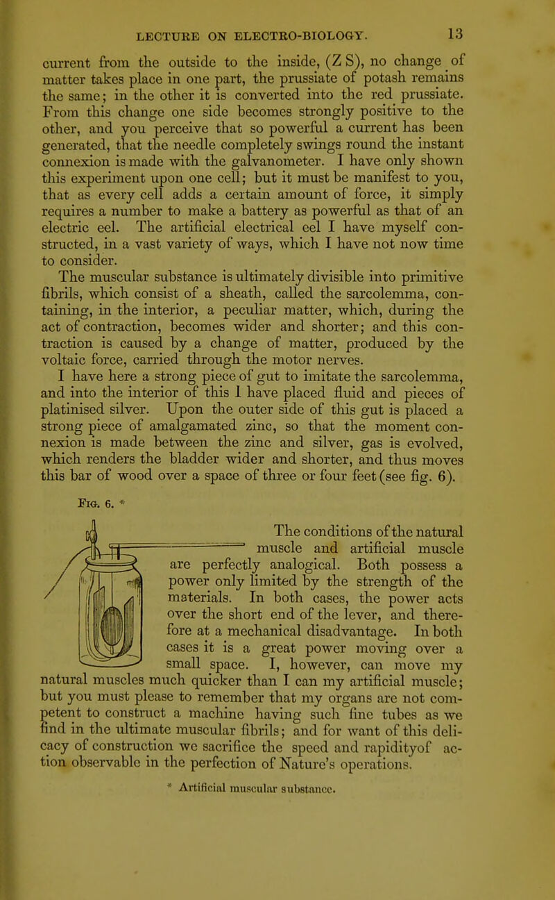 current from the outside to the inside, (Z S), no change of matter takes place in one part, the prussiate of potash remains the same; in the other it is converted into the red prussiate. From this change one side becomes strongly positive to the other, and you perceive that so powerful a current has been generated, that the needle completely swings round the instant connexion is made with the galvanometer. I have only shown this experiment upon one cell; but it must be manifest to you, that as every cell adds a certain amount of force, it simply requires a number to make a battery as powerful as that of an electric eel. The artificial electrical eel I have myself con- structed, in a vast variety of ways, which I have not now time to consider. The muscular substance is ultimately divisible into primitive fibrils, which consist of a sheath, called the sarcolemma, con- taining, in the interior, a peculiar matter, which, during the act of contraction, becomes wider and shorter; and this con- traction is caused by a change of matter, produced by the voltaic force, carried through the motor nerves. I have here a strong piece of gut to imitate the sarcolemma, and into the interior of this 1 have placed fluid and pieces of platinised silver. Upon the outer side of this gut is placed a strong piece of amalgamated zinc, so that the moment con- nexion is made between the zinc and silver, gas is evolved, which renders the bladder wider and shorter, and thus moves this bar of wood over a space of three or four feet (see fig. 6). Fig. 6. * The conditions of the natural ' muscle and artificial muscle are perfectly analogical. Both possess a power only limited by the strength of the materials. In both cases, the power acts over the short end of the lever, and there- fore at a mechanical disadvantage. In both cases it is a great power moving over a small space. I, however, can move my natural muscles much quicker than I can my artificial muscle; but you must please to remember that my organs are not com- etent to construct a machine having such fine tubes as we nd in the ultimate muscular fibrils; and for want of this deli- cacy of construction we sacrifice the speed and rapidityof ac- tion observable in the perfection of Nature's operations. * Artificial muscular substance.