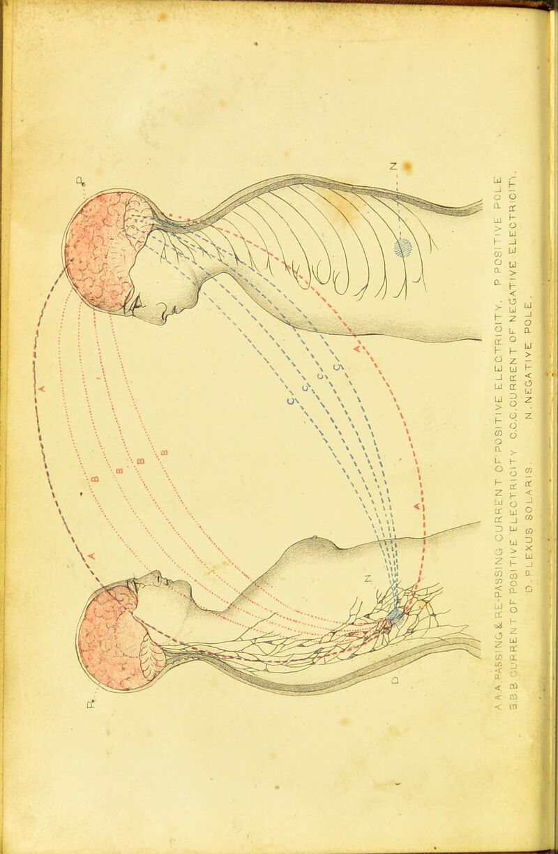 UJ a. h H  z U u -J a. CO o D. L o I- z UJ DC cC 3> o C3 z CO CO < a ui oc oil z S a i? 3 a. o. < to < to < rri CO o 0-