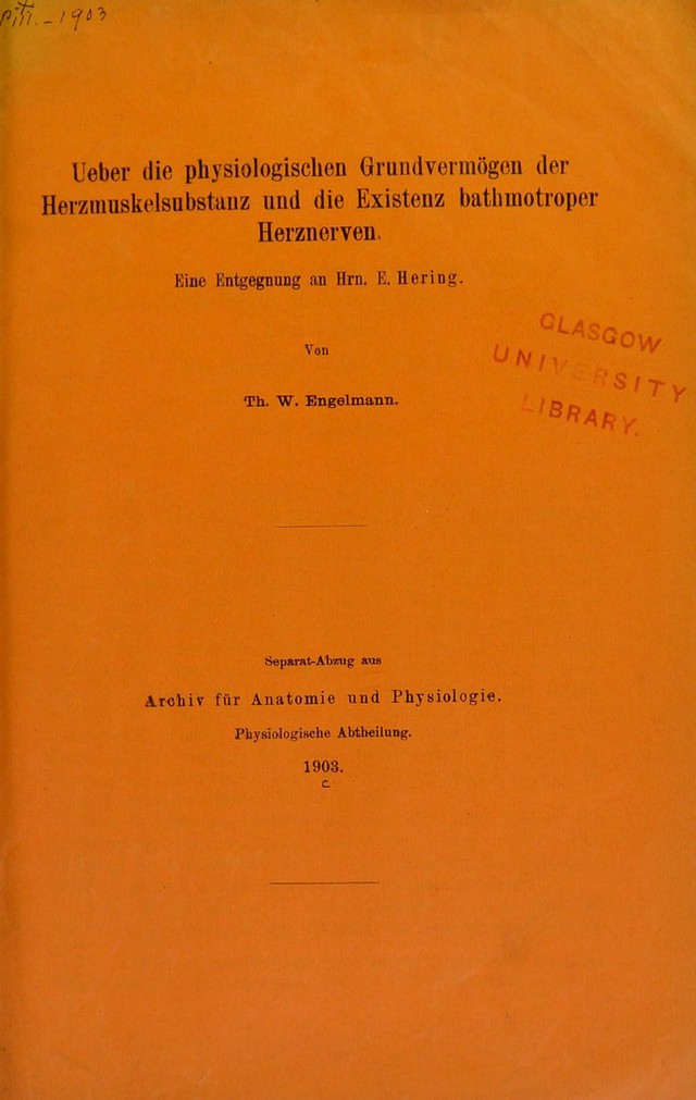 digitised image 1