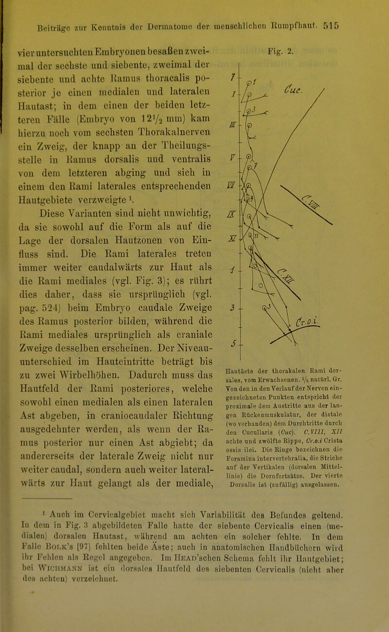 vier untersuchten Embryonen besaßen zwei- mal der sechste und siebente, zweimal der siebente und achte Ramus thoracalis po- sterior je einen medialen und lateralen Uautast; in dem einen der beiden letz- teren Fälle (Embryo von 12y2 nun) kam hierzu noch vom sechsten Thorakalnerven ein Zweig, der knapp an der Theilungs- stelle in Ramus dorsalis und ventralis von dem letzteren abging und sich in einem den Rami laterales entsprechenden Ihuitgebiete verzweigte1. Diese Varianten sind nicht unwichtig, da sie sowohl auf die Form als auf die Lage der dorsalen Hautzonen von Ein- fluss sind. Die Rami laterales treten immer weiter caudalwärts zur Haut als die Rami mediales (vgl. Fig. 3); es rührt dies daher, dass sie ursprünglich (vgl. pag. 524) beim Embryo caudale Zweige des Ramus posterior bilden, während die Rami mediales ursprünglich als craniale Zweige desselben erscheinen. Der Niveau- unterschied im Hauteintritte beträgt bis zu zwei Wirbelhöhen. Dadurch muss das Hautfeld der Rami posteriores, welche sowohl einen medialen als einen lateralen Ast abgeben, in craniocaudaler Richtung- ausgedehnter werden, als wenn der Ra- mus posterior nur einen Ast abgiebt; da andererseits der laterale Zweig nicht nur weiter caudal, sondern auch weiter lateral- wärts zur Haut gelangt als der mediale, Fig. 2. Uiiutäste der thorakalen Eami dor- sales, vom Erwachsenen. '/f> natürl. Gr. Von den in den Verlauf der Nerven ein- gezeichneten Punkten entspricht der proximale dein Austritte aus der lan- gen Kückenmuskulatur, der distale (wo vorhanden) dem Durchtritte durch den Cucullaris (Cuc). C.VIU, XII achte und zwölfte Rippe, Cr.o.i Crista ossis ilei. Die Kinge bezeichnen die Foramina intervertebralia, die Striche auf der Vertikalon (dorsalen Mittel- linio) die Dornfortsätze. Der vierte Dorsalis ist (zufällig) ausgelassen. 1 Auch im Cervicalgebiet macht sich Variabilität des Befundes geltend. In dem in Fig. 3 abgebildeten Falle hatte der siebente Cervicalis einen (me- dialen) dorsalen Hautast, während am achten ein solcher fehlte. In dem Falle Boi.k's [97] fehlten beide Äste; auch in anatomischen Handbüchern wird ihr Fehlen als Eegel angegeben. Im HEAD'schen Schema fehlt ihr Hautgebiet; bei Wiciimann ist ein dorsales Hautfeld des siebenten Cervicalis (nicht aber des achtun) verzeichnet.